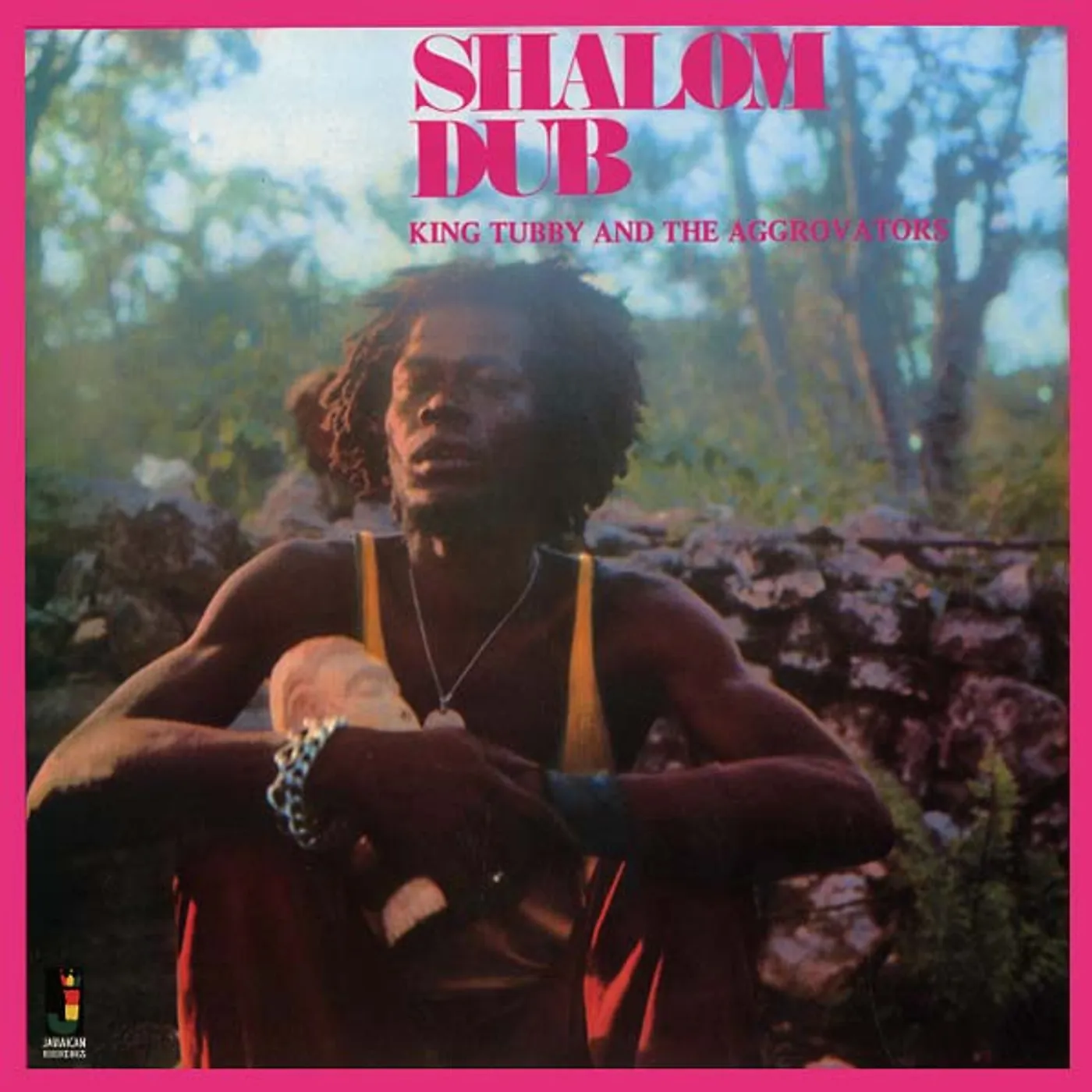 King Tubby and the Aggrovators Shalom Dub Vinyl Record