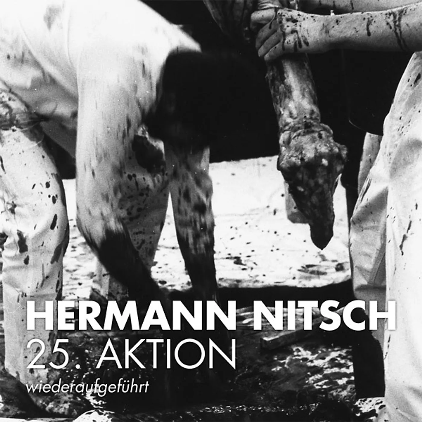 Hermann Nitsch 25. Aktion (Wiederaufgefuhrt) Vinyl Record