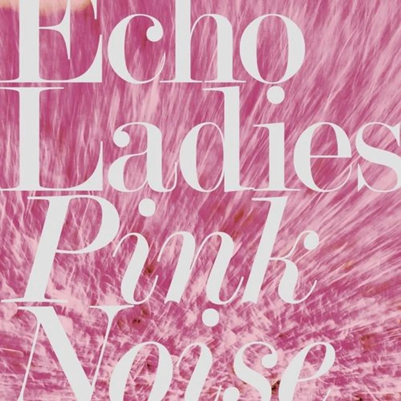 Echo ladies Vinyl Record