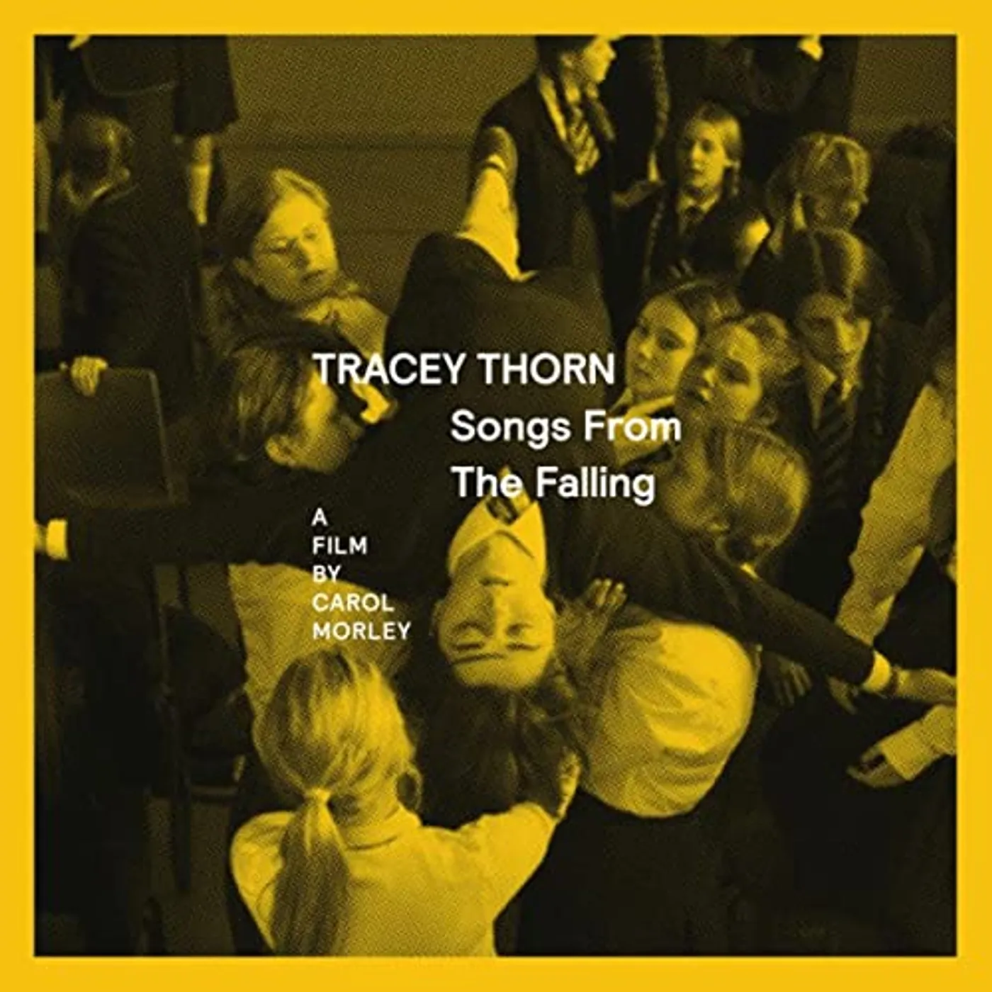 Tracey Thorn Songs From The Falling Vinyl Record