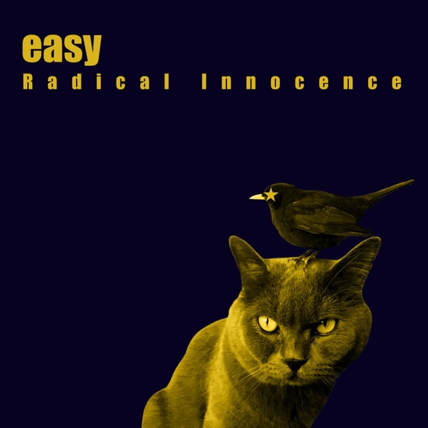 Easy Radical Innocence Vinyl Record