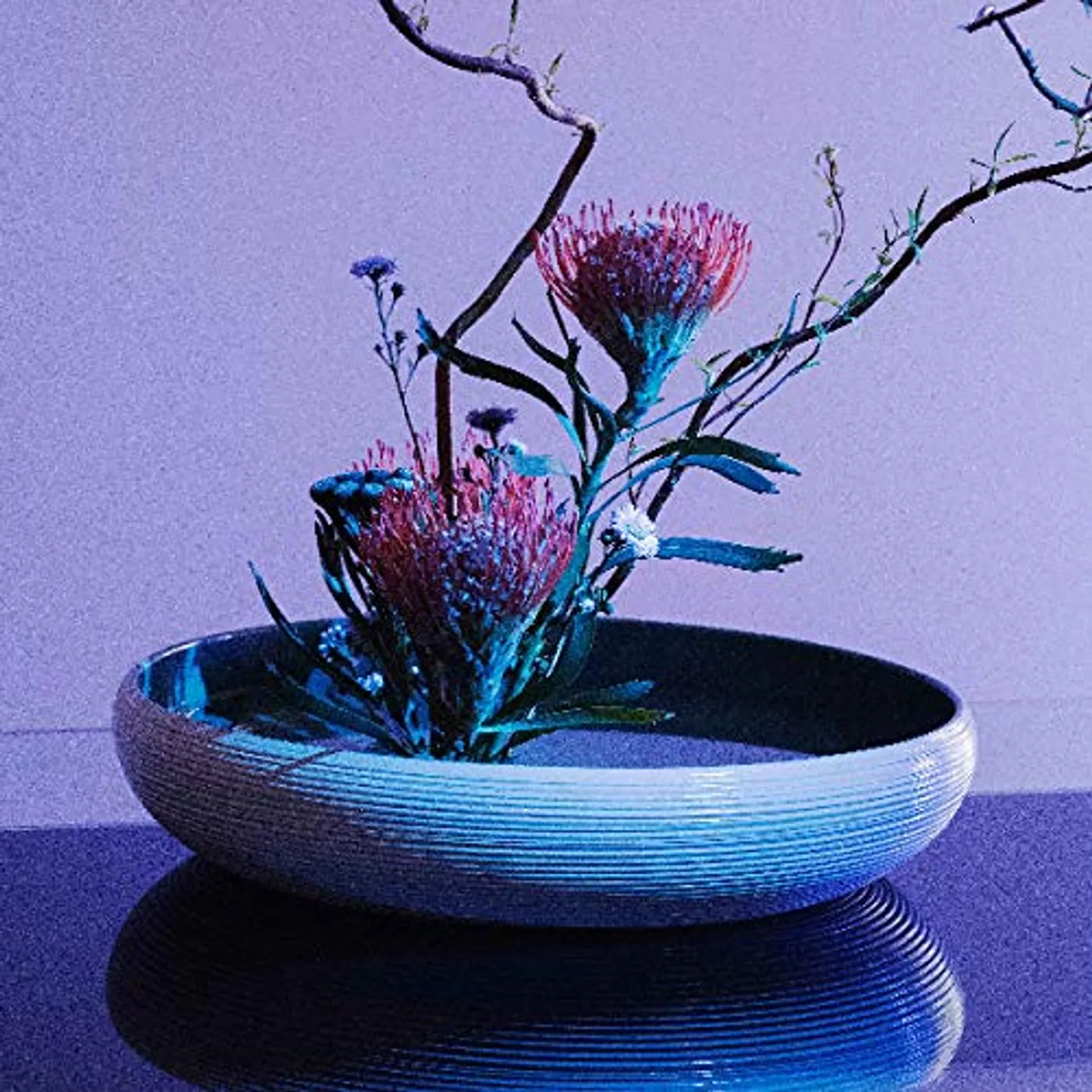 S S S S Walls, Corridors, Baffles Vinyl Record