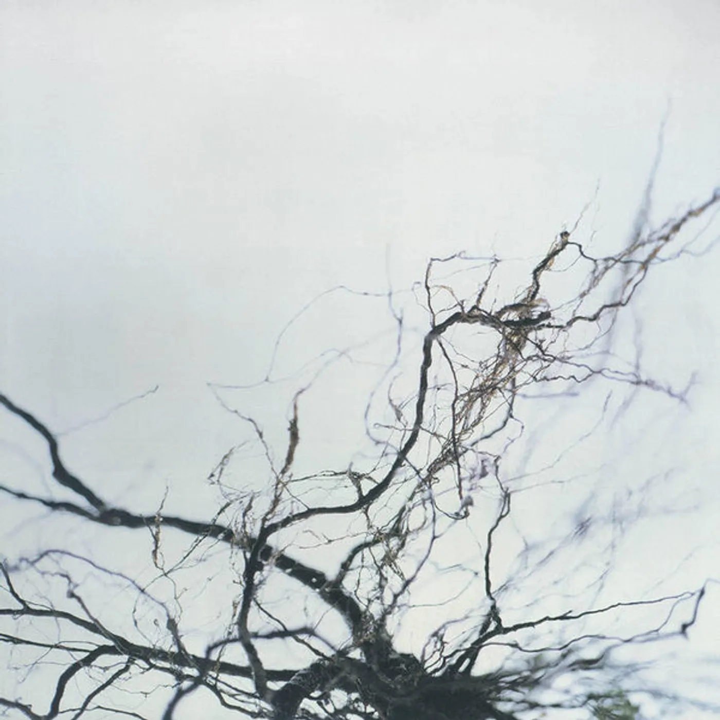 Yutaka Hirose NOVA + 4 Vinyl Record