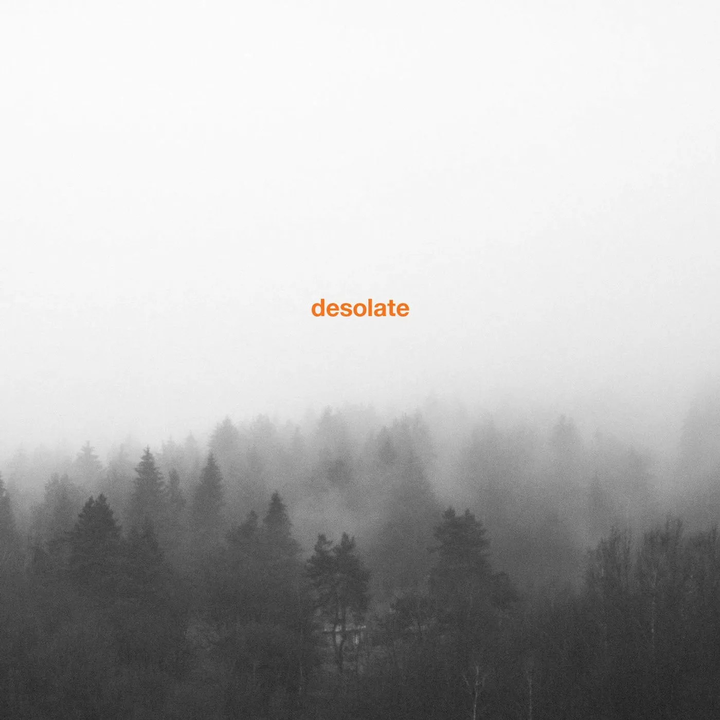 Desolate Exceptionalism Vinyl Record