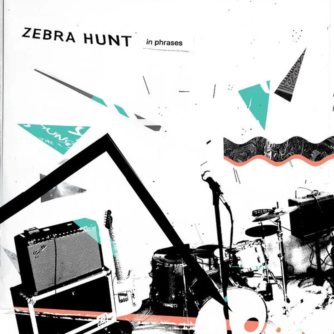 Zebra Hunt In Phrases Vinyl Record
