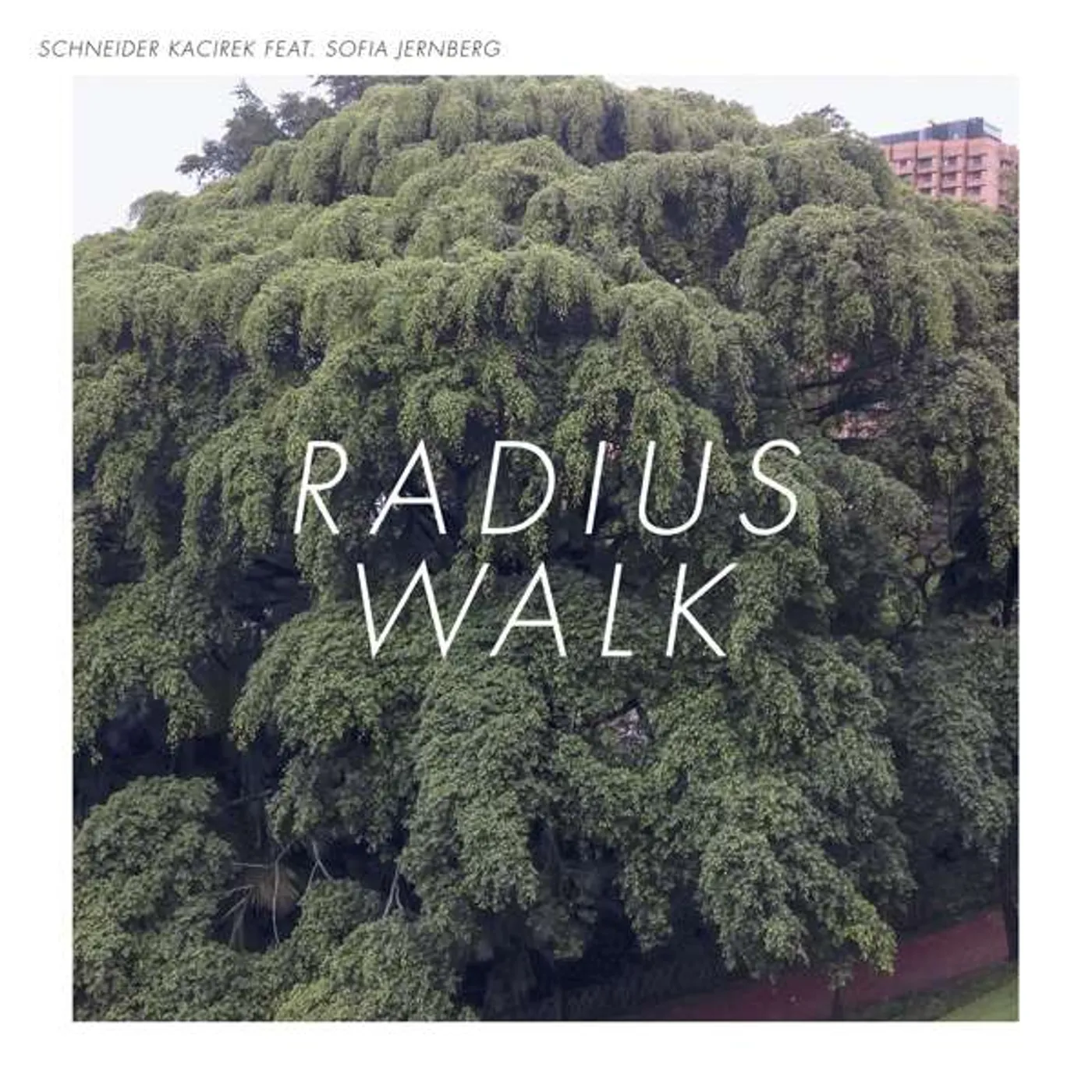 Schneider Kacirek Radius Walk Vinyl Record