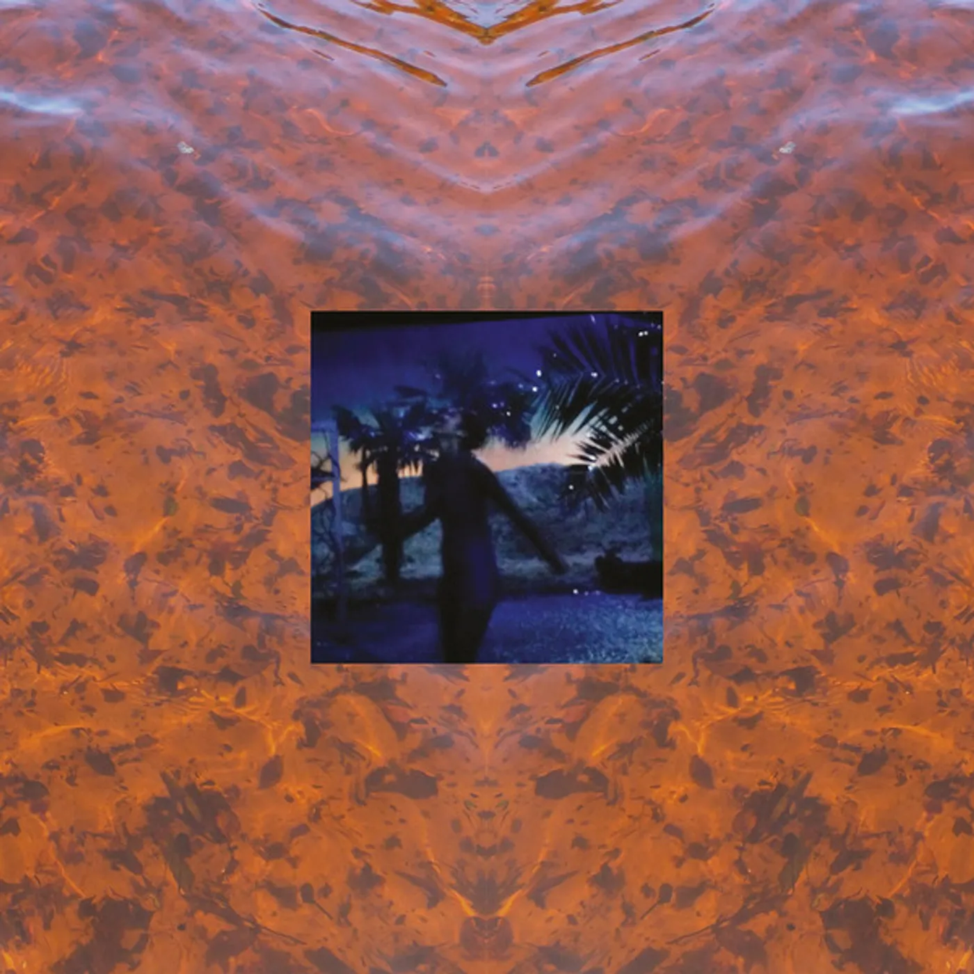 Constantijn Lange Elysian Fields Vinyl Record