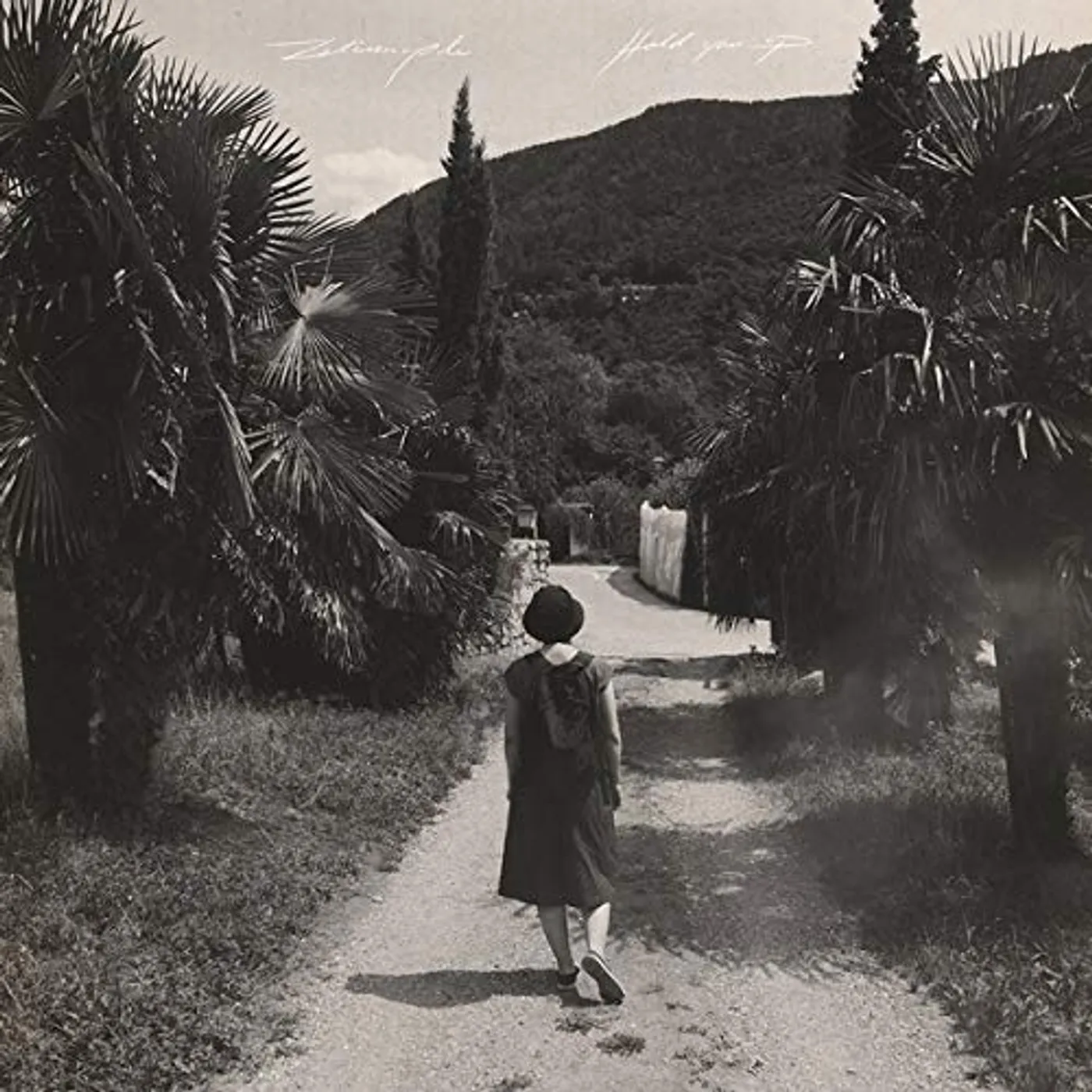 Zelienople Hold You Up Vinyl Record