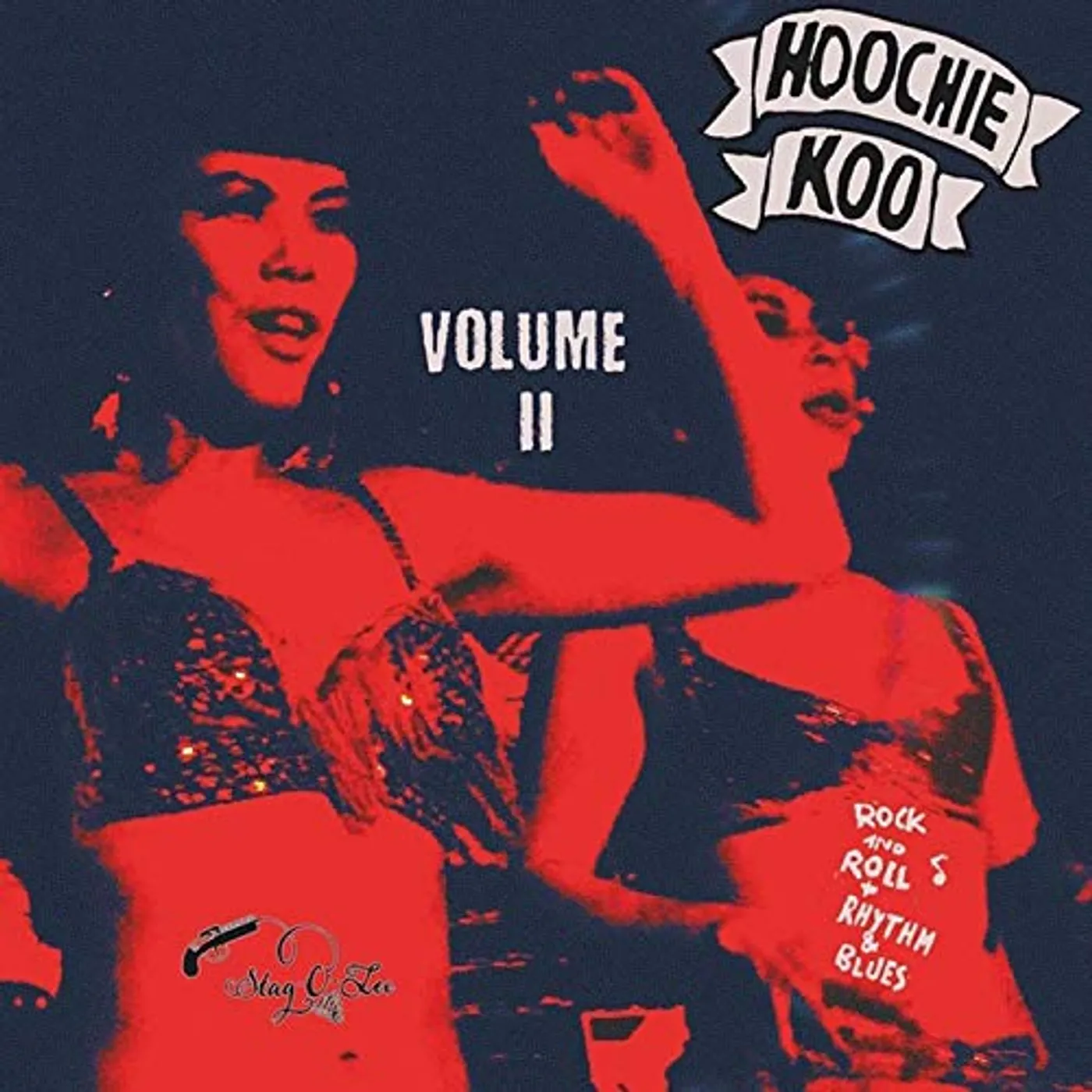 Va Hoochie koo volume ii Vinyl Record