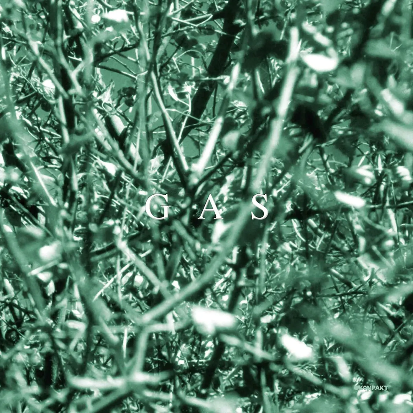 GAS Oktember Vinyl Record