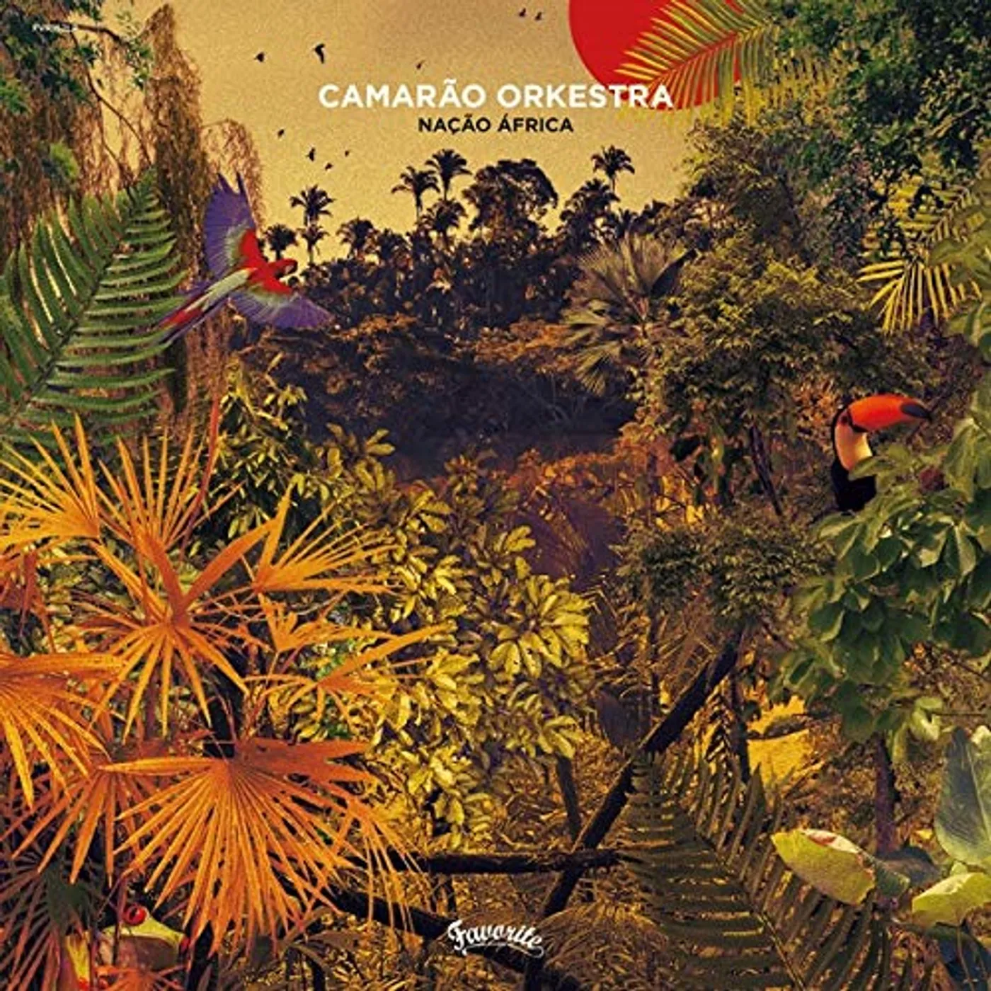 Camarão Orkestra Nacao Africa Vinyl Record