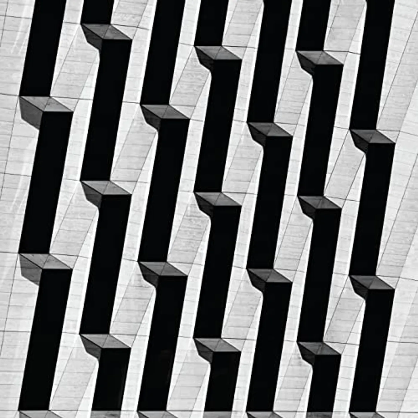 Snow Palms Everything Ascending Vinyl Record