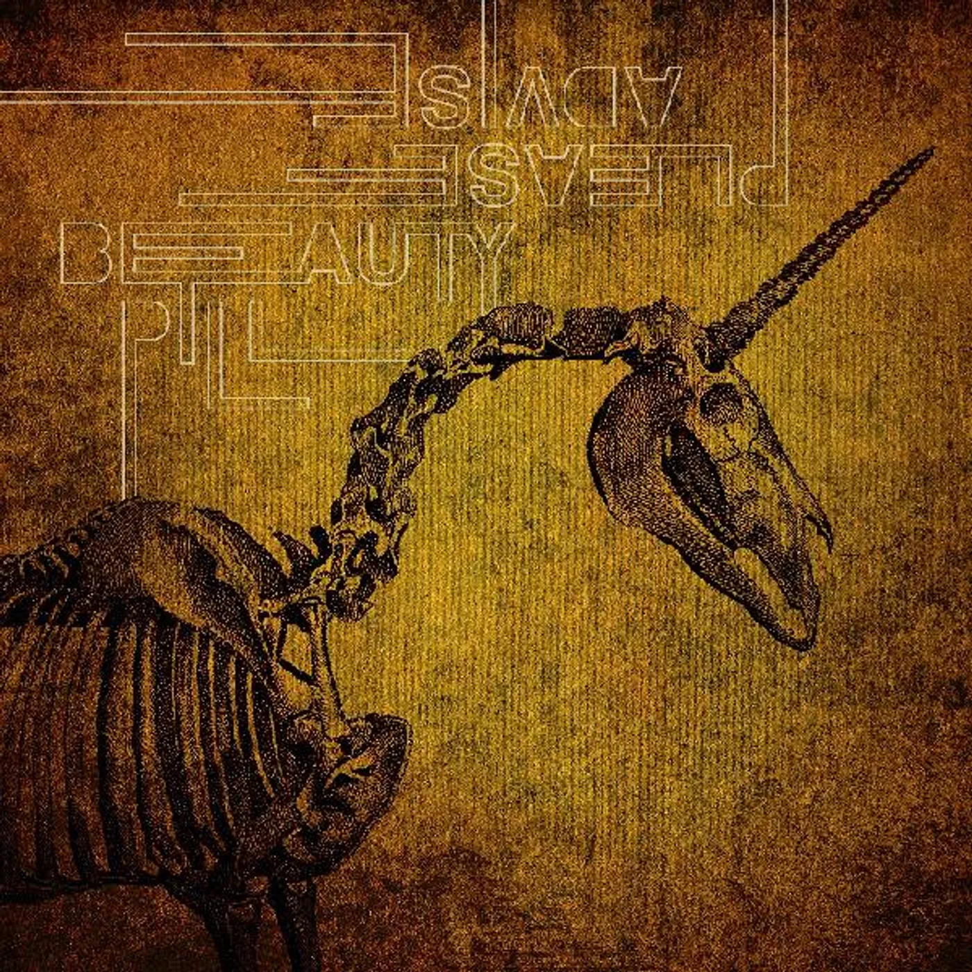 Beauty Pill PLEASE ADVISE CD