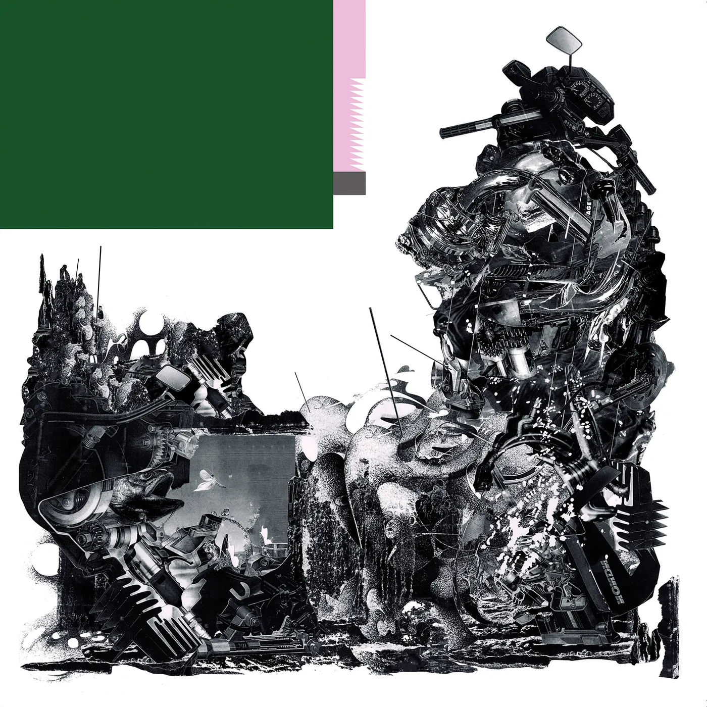 black midi SCHLAGENHEIM CD