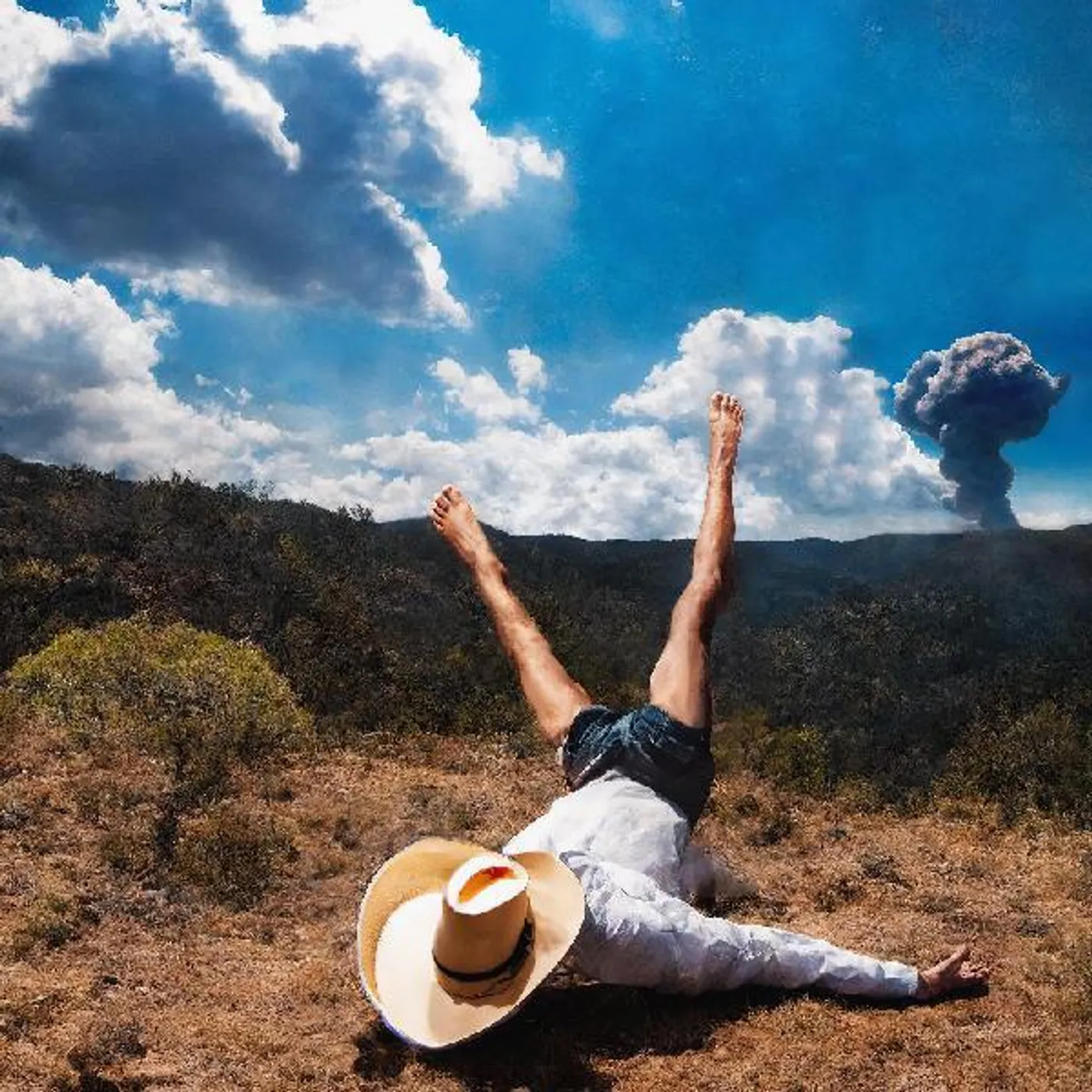 Geese 3 D Country CD