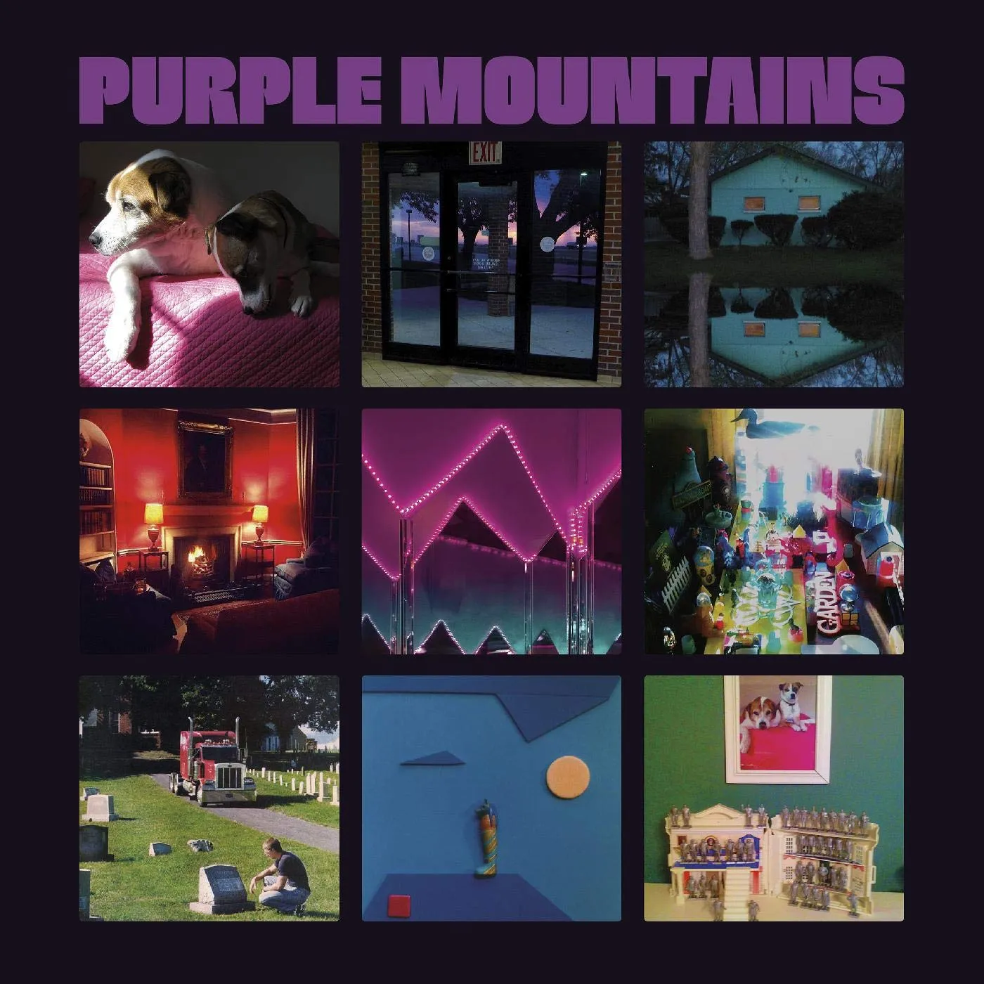 PURPLE MOUNTAINS CD
