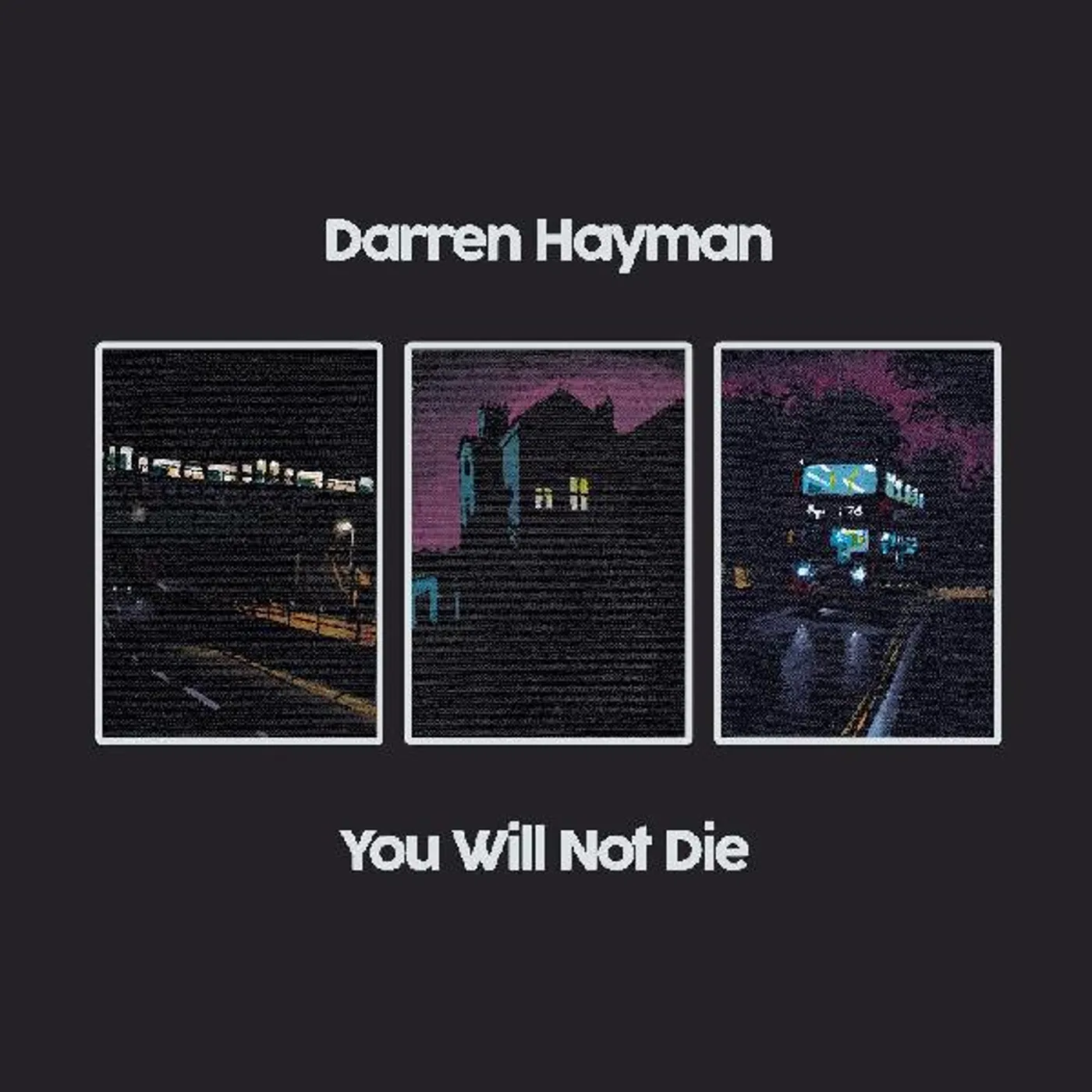 Darren Hayman You Will Not Die CD