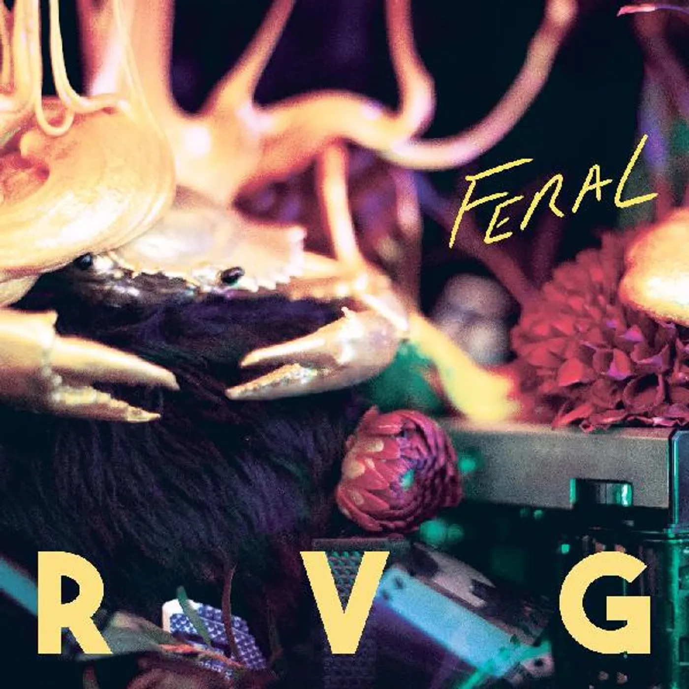 RVG FERAL CD
