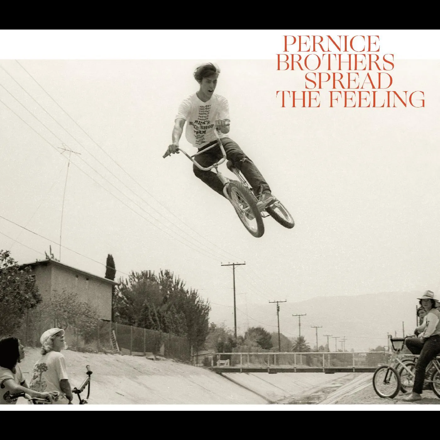 Pernice Brothers SPREAD THE FEELING CD