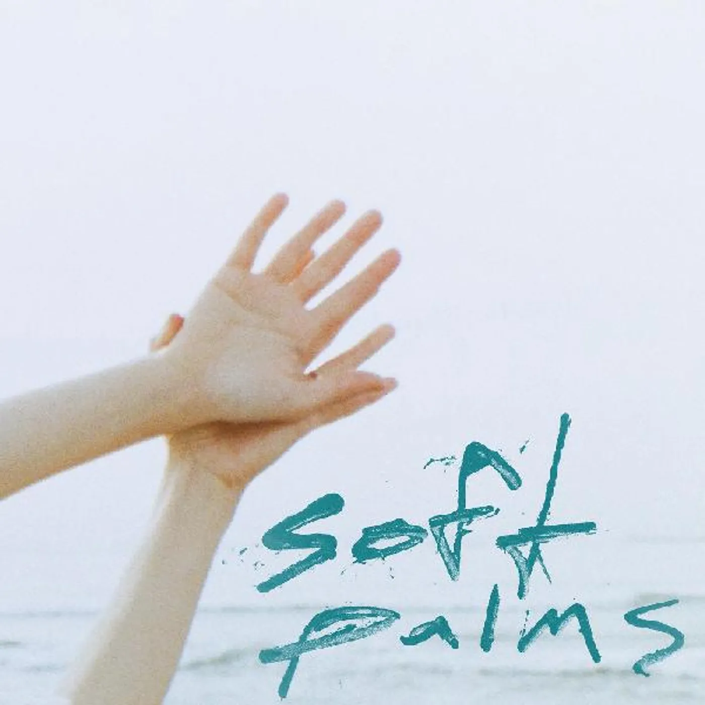 SOFT PALMS CD