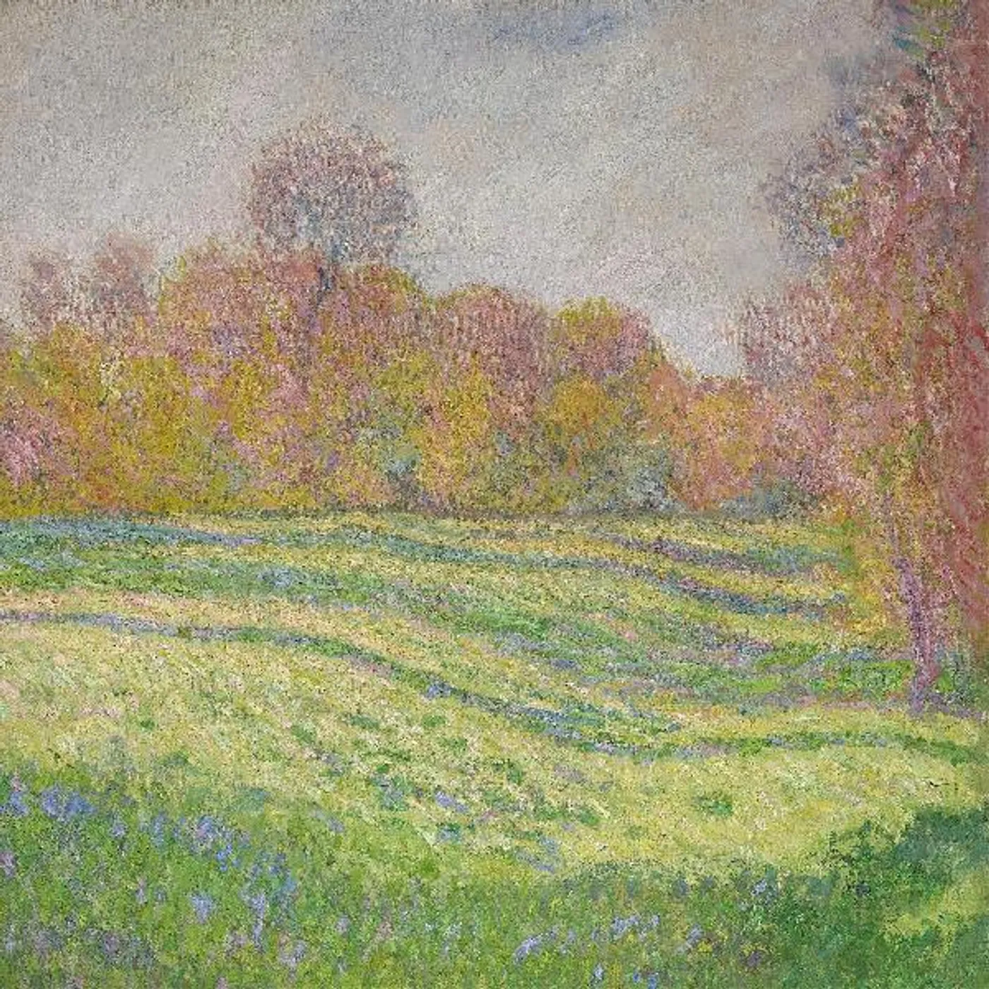 Strawberry Guy Sun Outside My Window CD