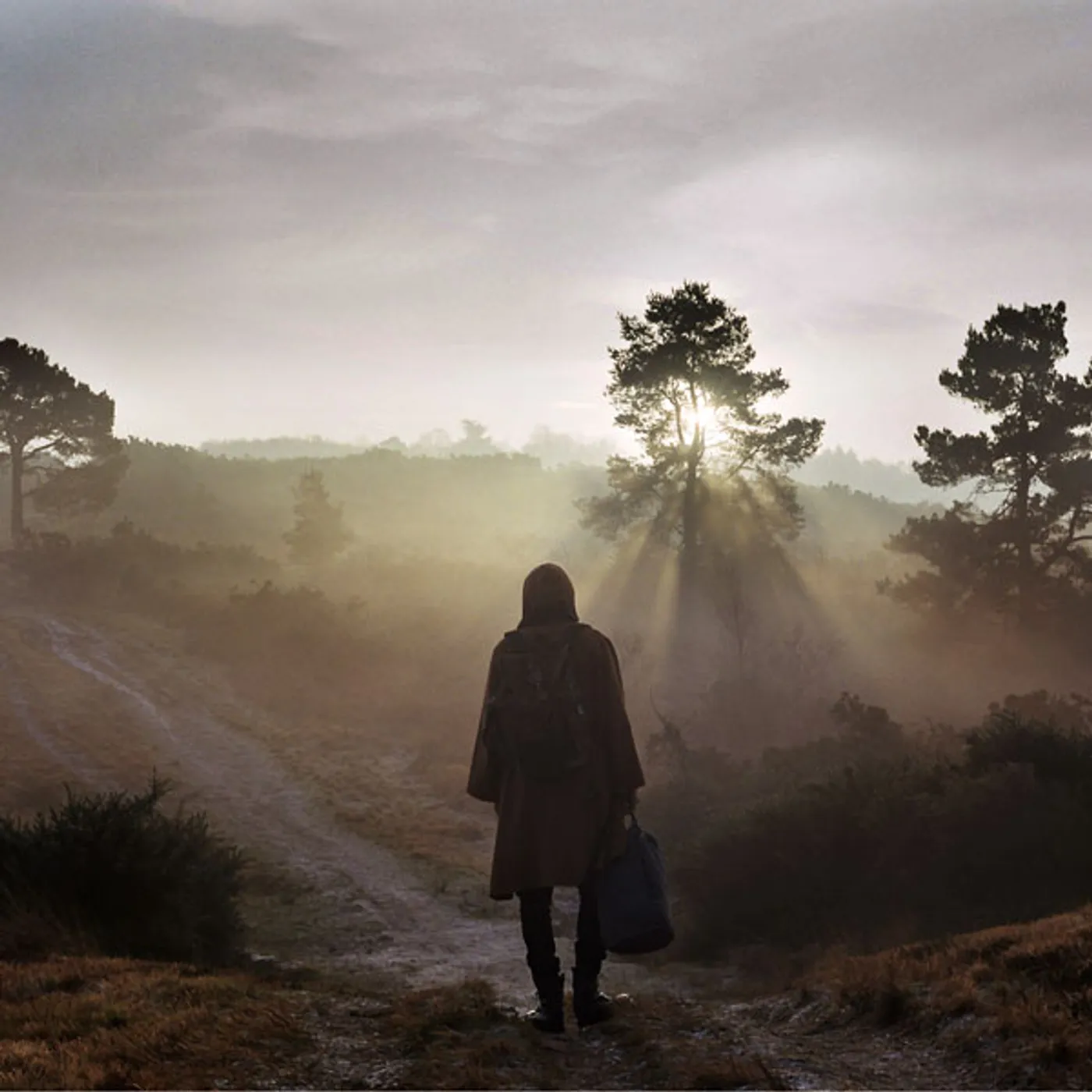 Esben and the Witch A New Nature Vinyl Record