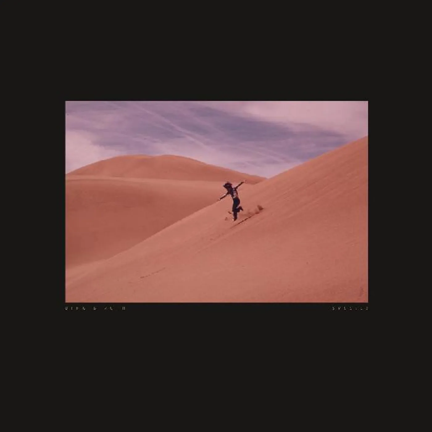 Bing & Ruth Species Vinyl Record