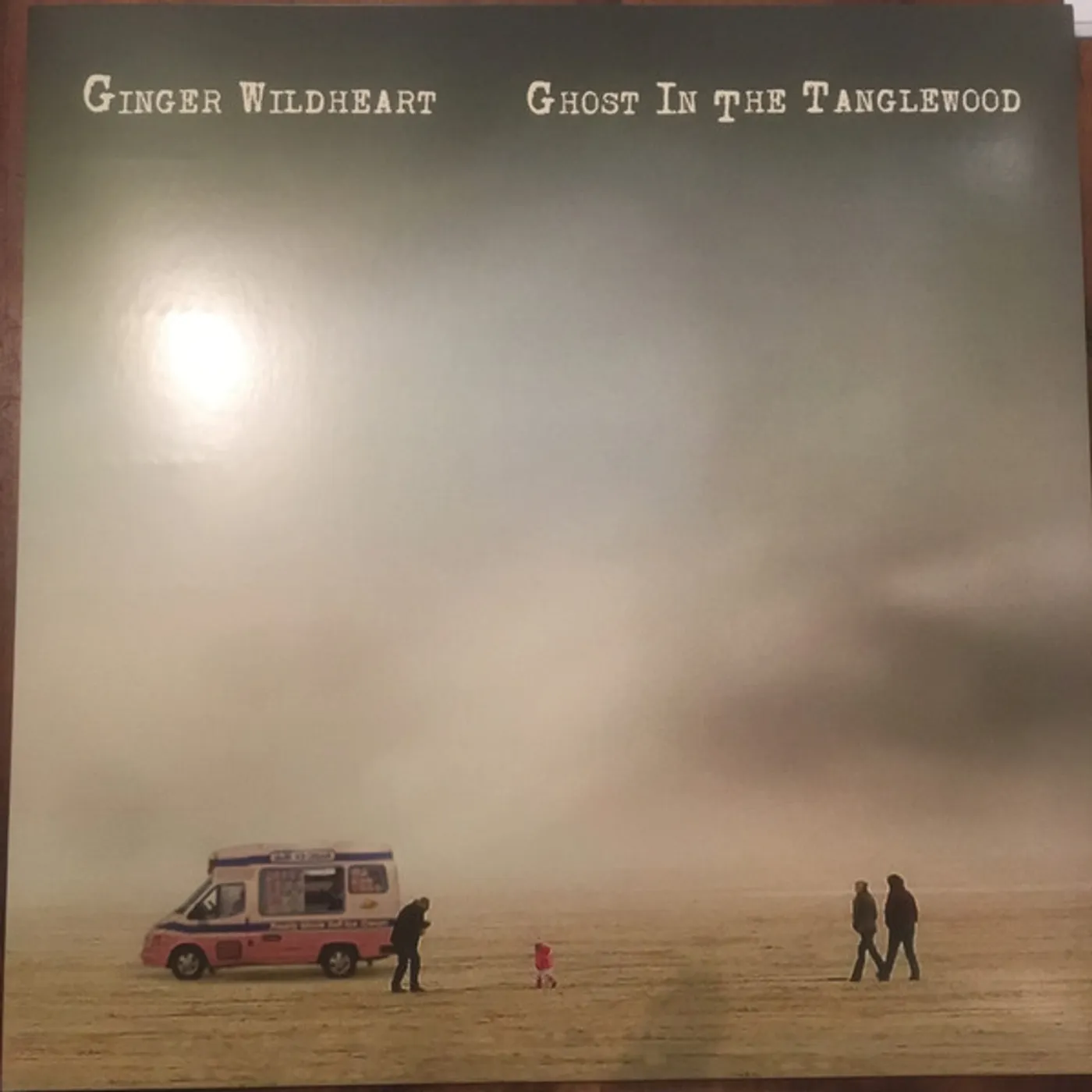 Ginger Wildheart Ghost In The Tanglewood Vinyl Record