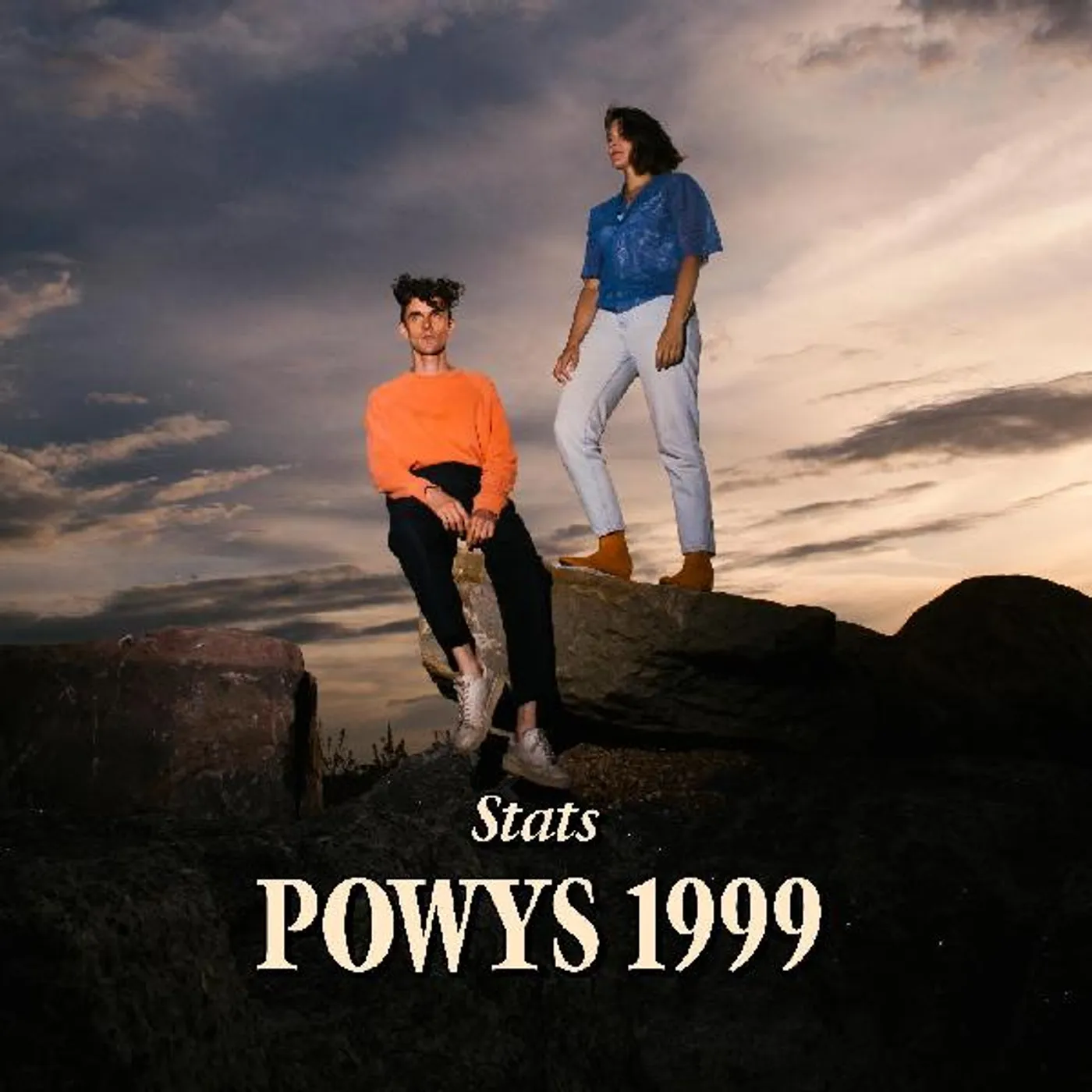 Stats Powys 1999 Vinyl Record