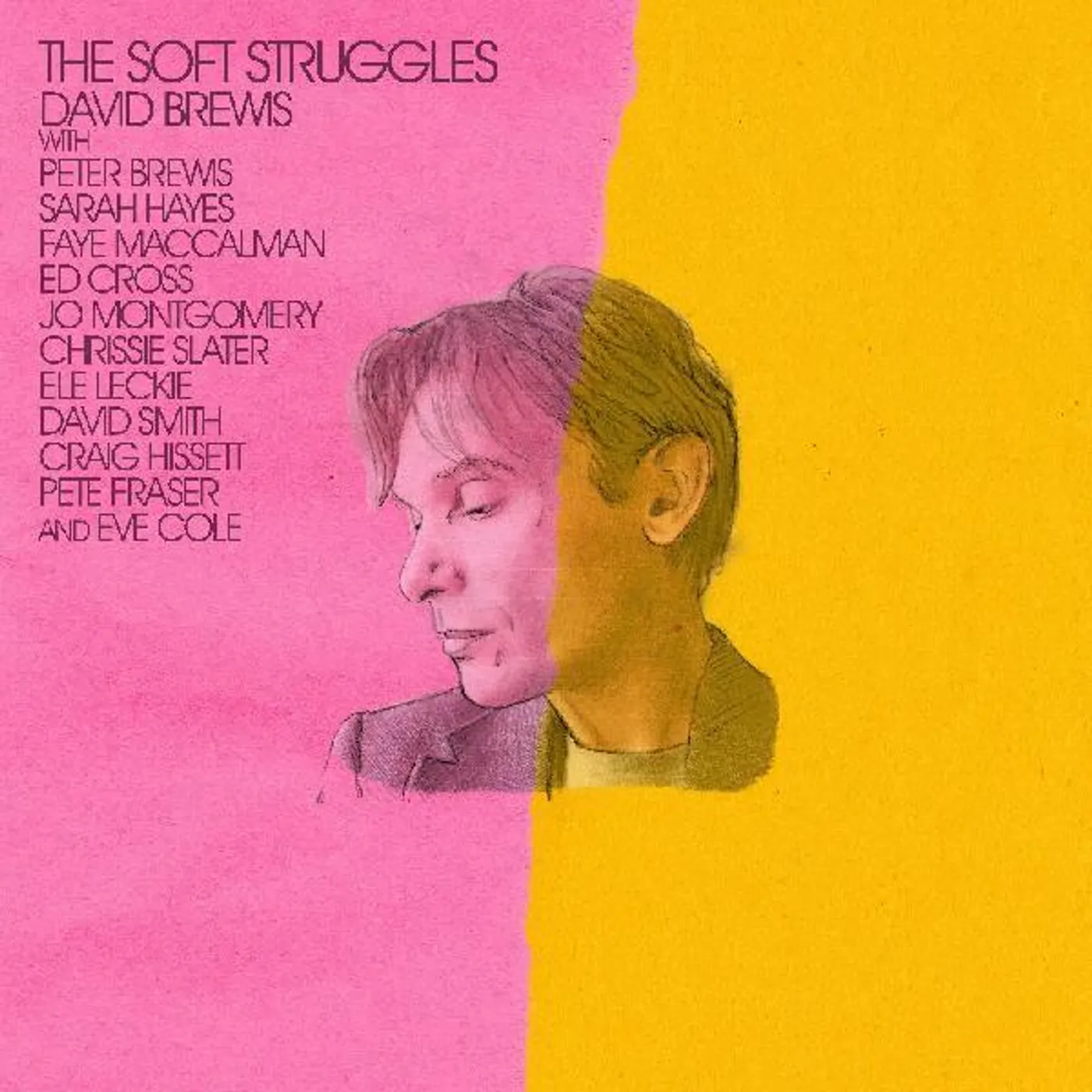 David Brewis The Soft Struggles Vinyl Record