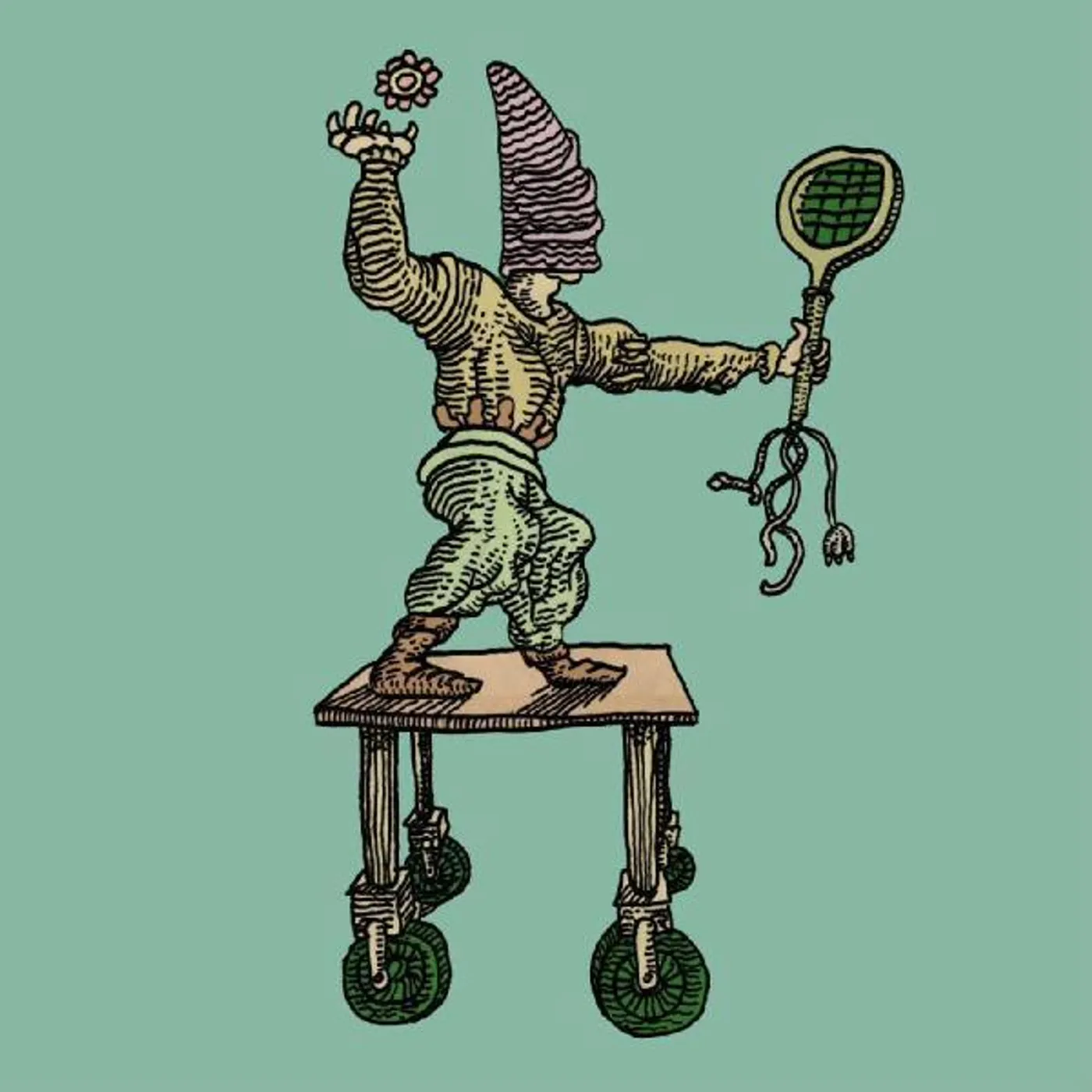 The Mary Onettes Cola Falls Vinyl Record