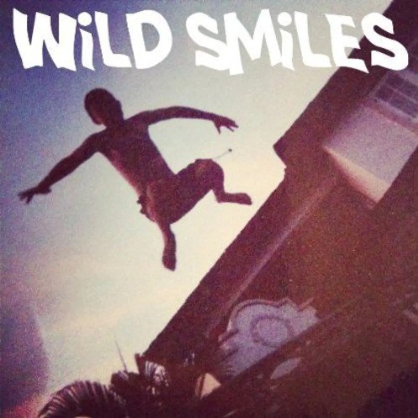 Wild Smiles Tangled Hair / Sweet Sixteen Vinyl Record