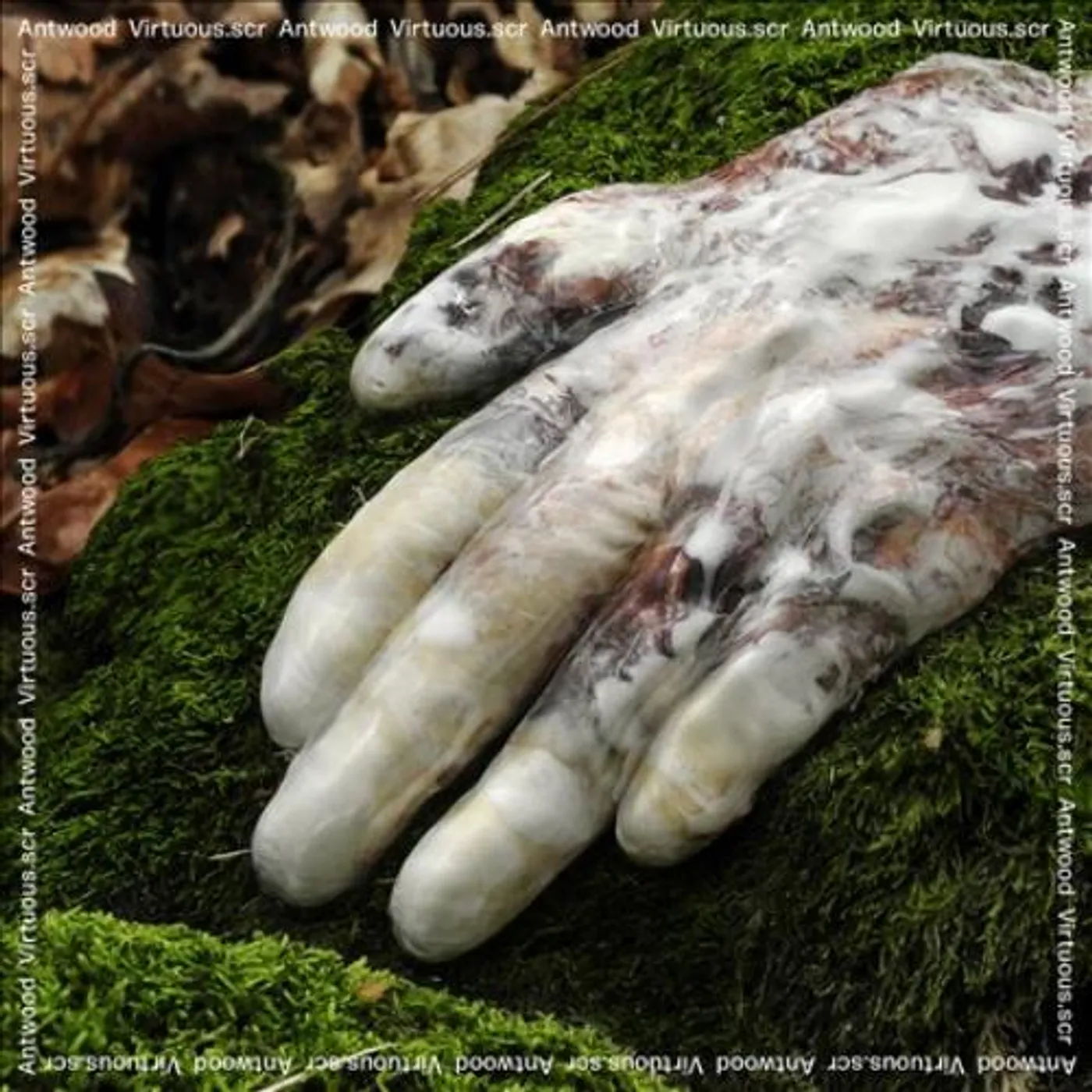 Antwood Virtuous.Scr Vinyl Record