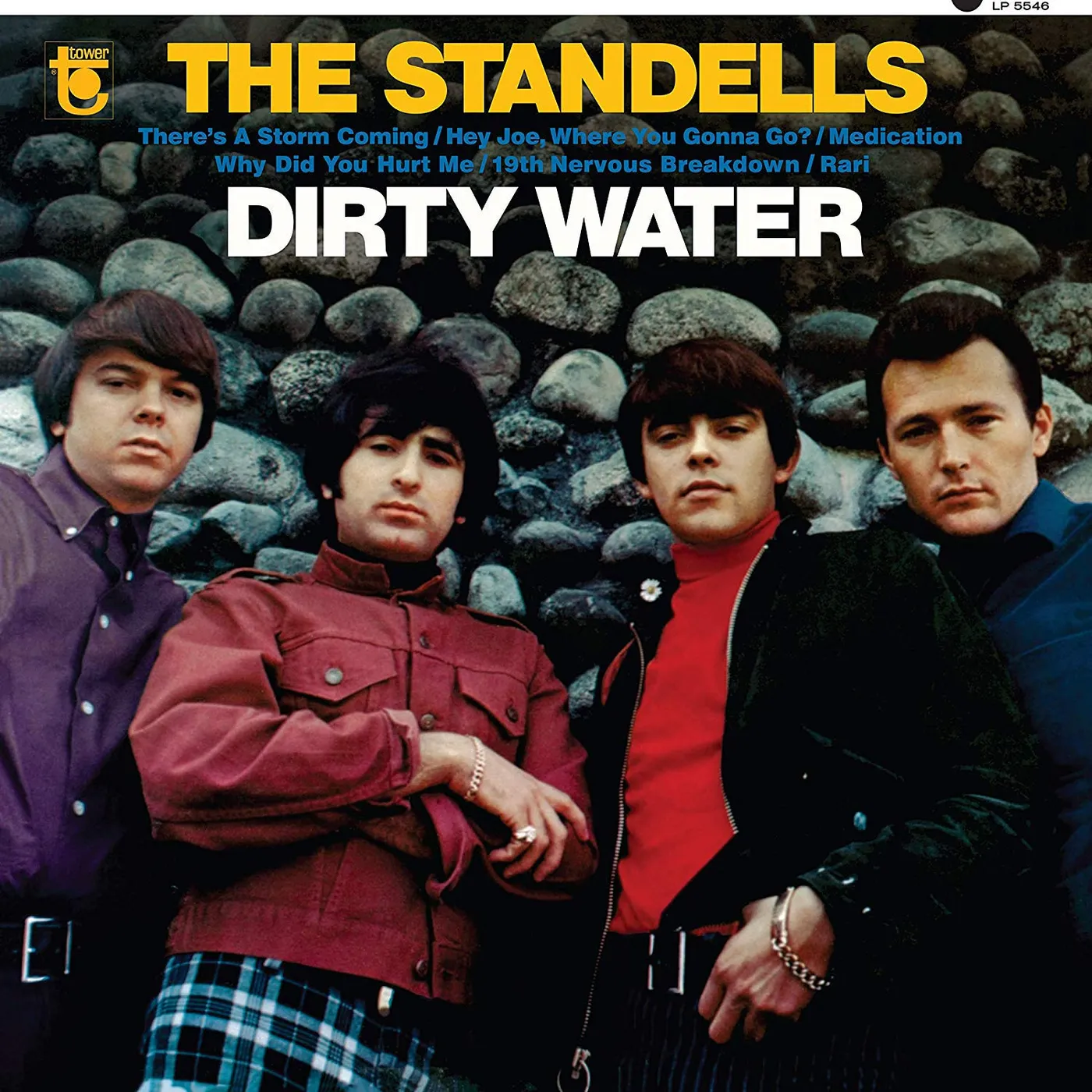 The Standells Dirty Water Vinyl Record