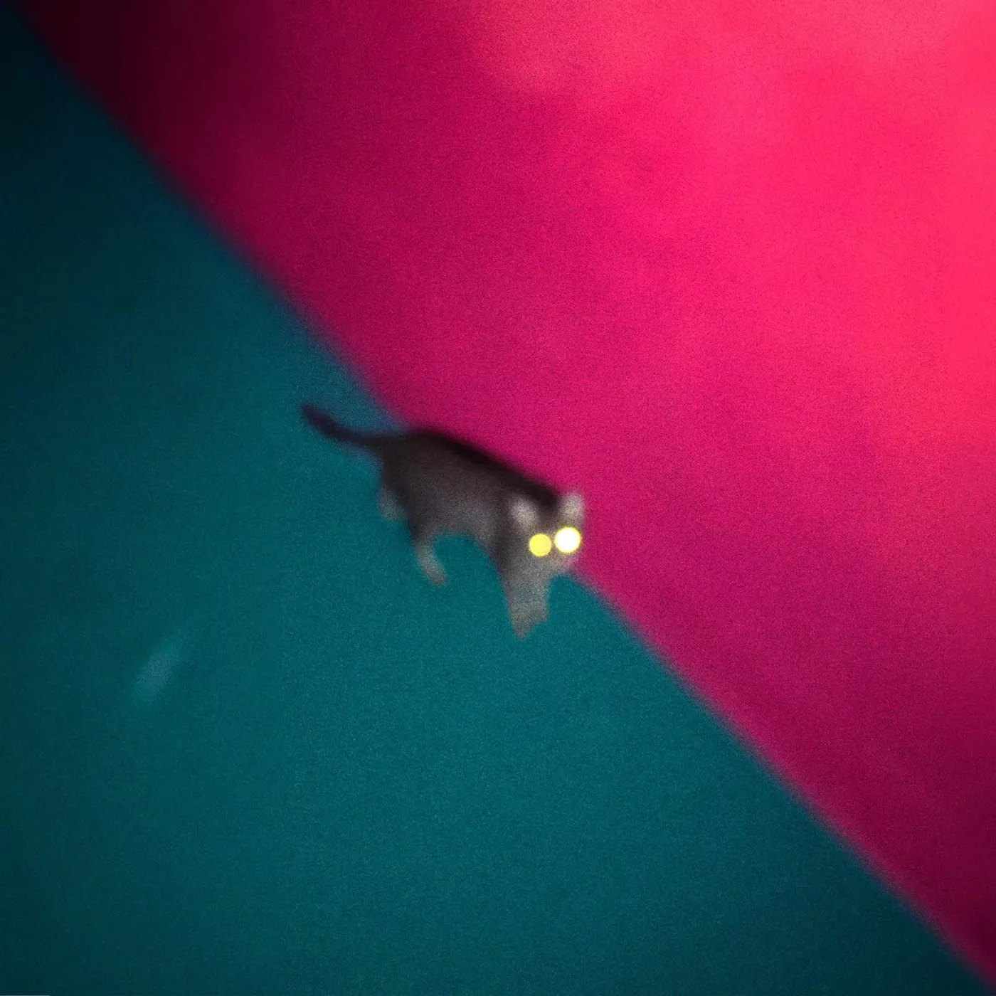 !!! WALLOP (2LP/DL CARD) Vinyl Record