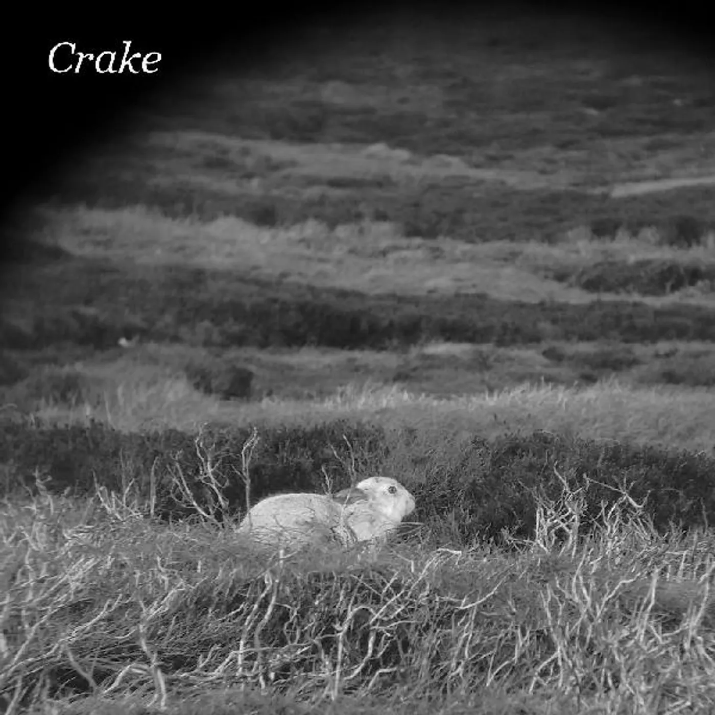 Crake ENOUGH SALT (FOR ALL DOGS) / GEF Vinyl Record