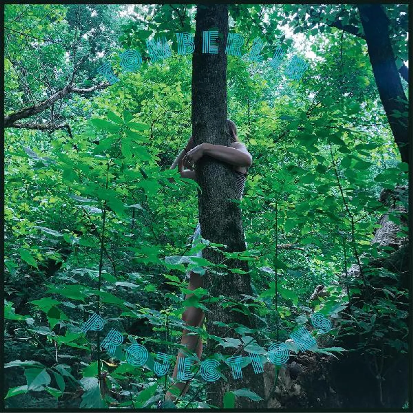 Tomberlin PROJECTIONS (PICTURE DISC) Vinyl Record