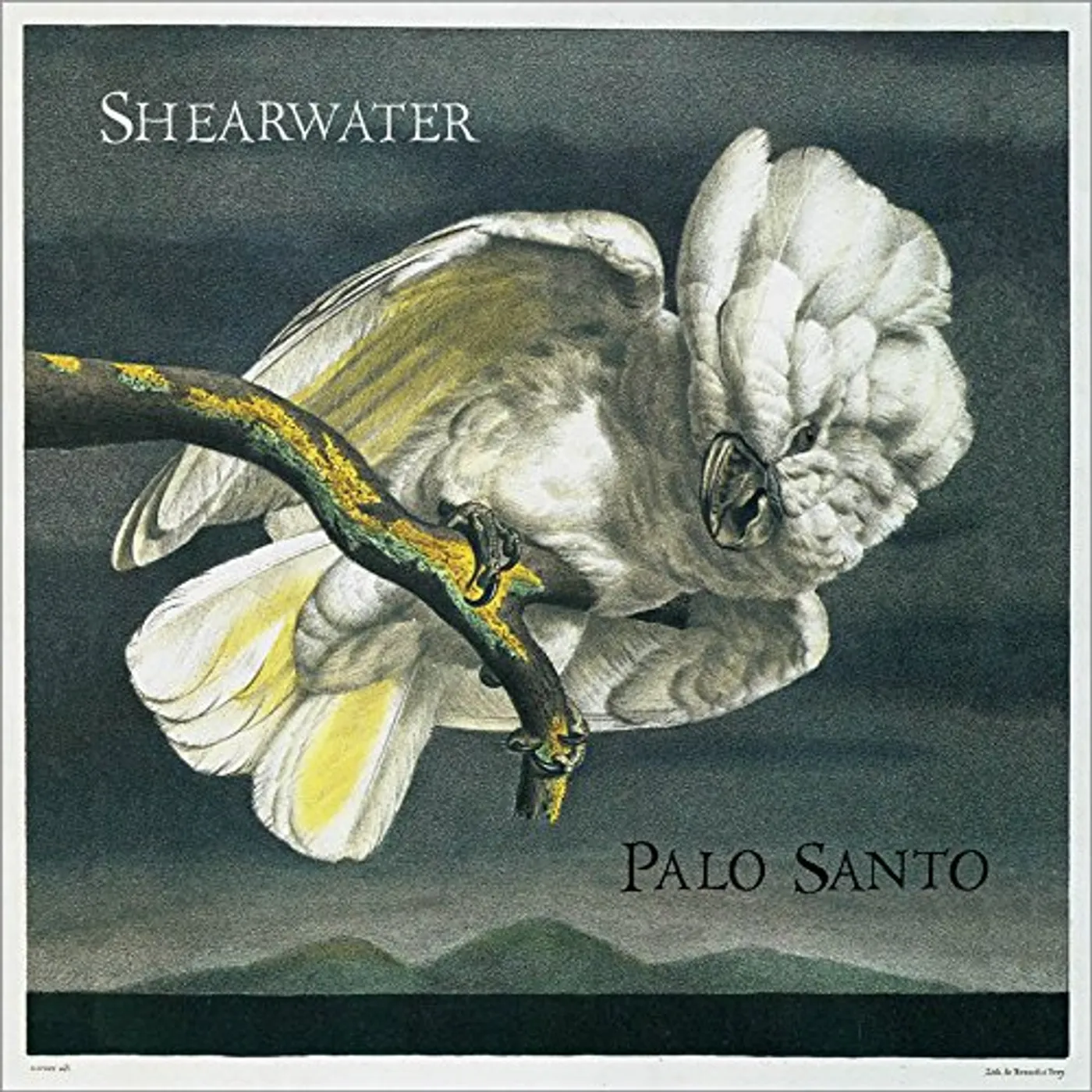 Shearwater PALO SANTO Vinyl Record