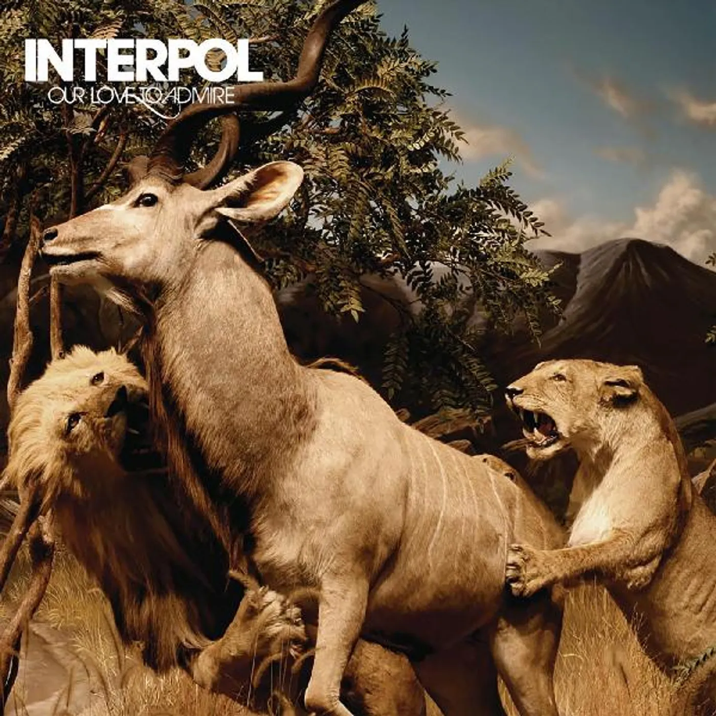 Interpol OUR LOVE TO ADMIRE (2LP) Vinyl Record