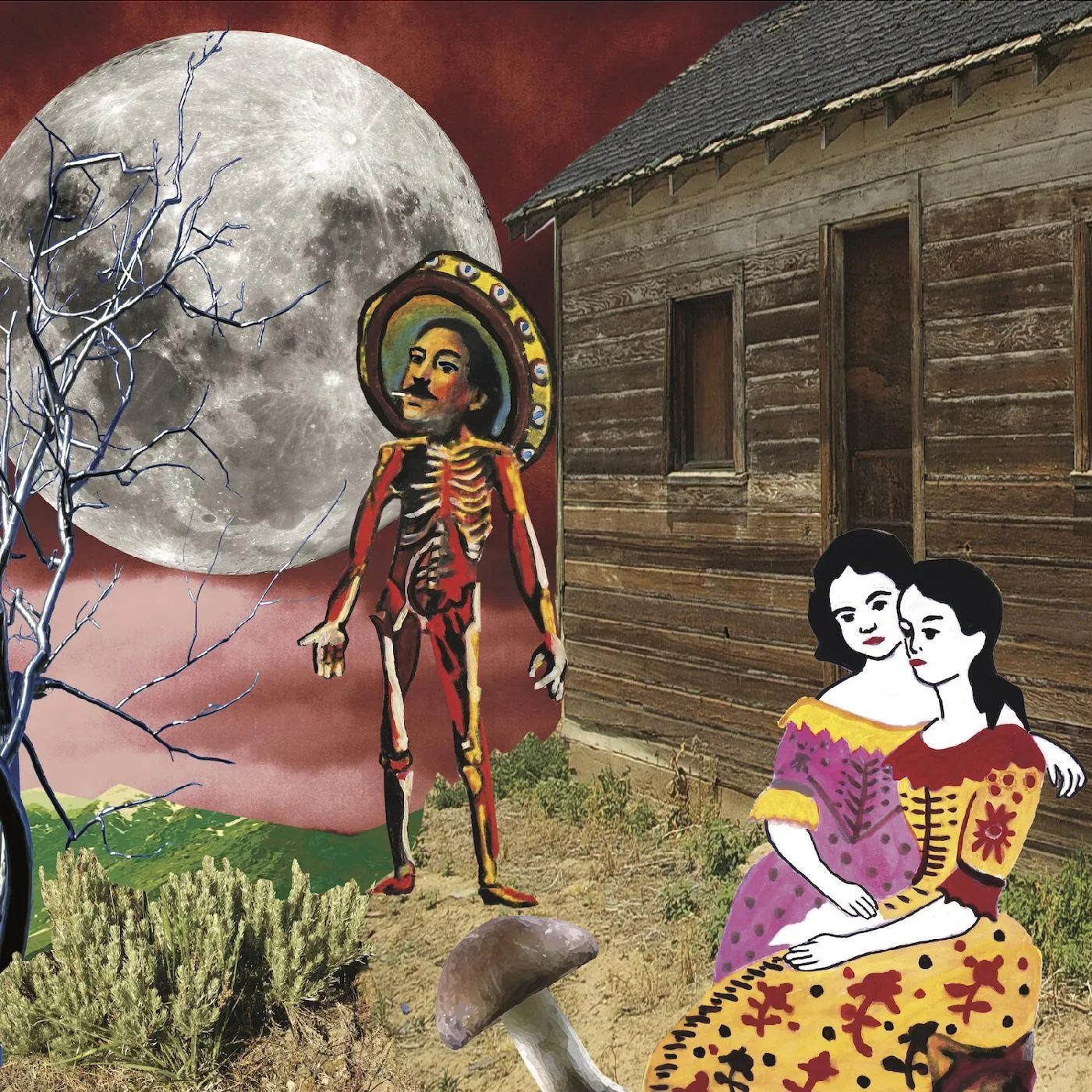 Silkworm IN THE WEST (2LP/INSERT/DL CARD) Vinyl Record