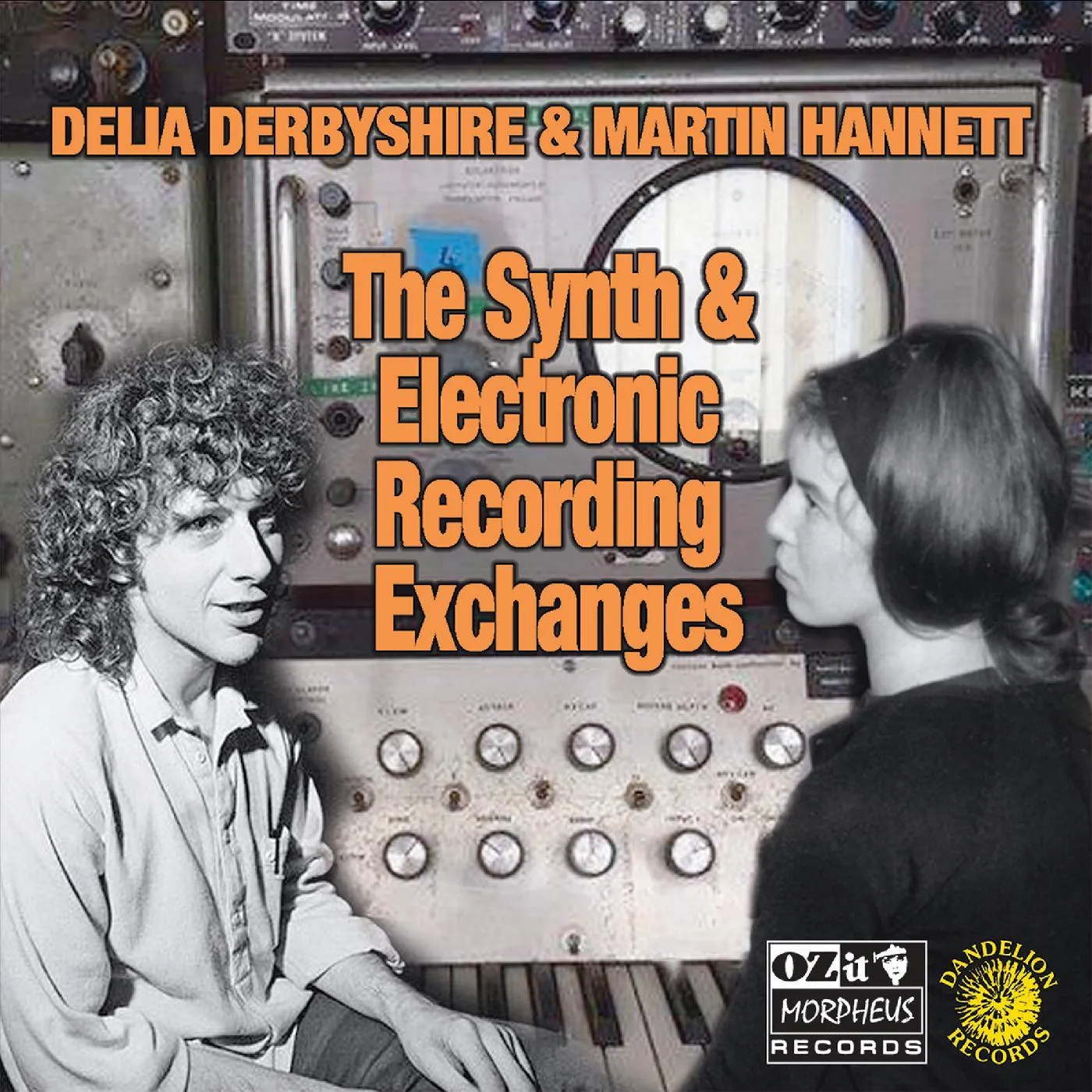 Delia Derbyshire & Martin Hannett  SYNTH AND ELECTRONIC RECORDING EXCHANGES Vinyl Record