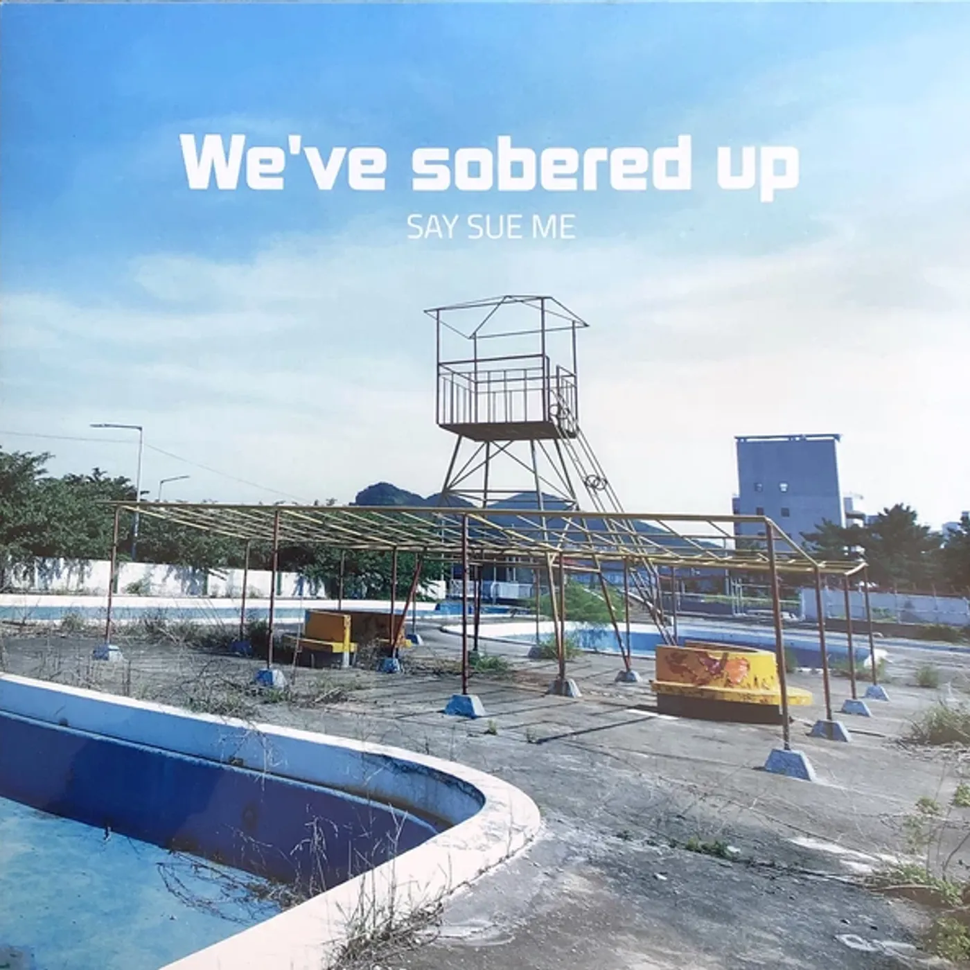 Say Sue Me We've Sobered Up (Rsd 2019) Vinyl Record