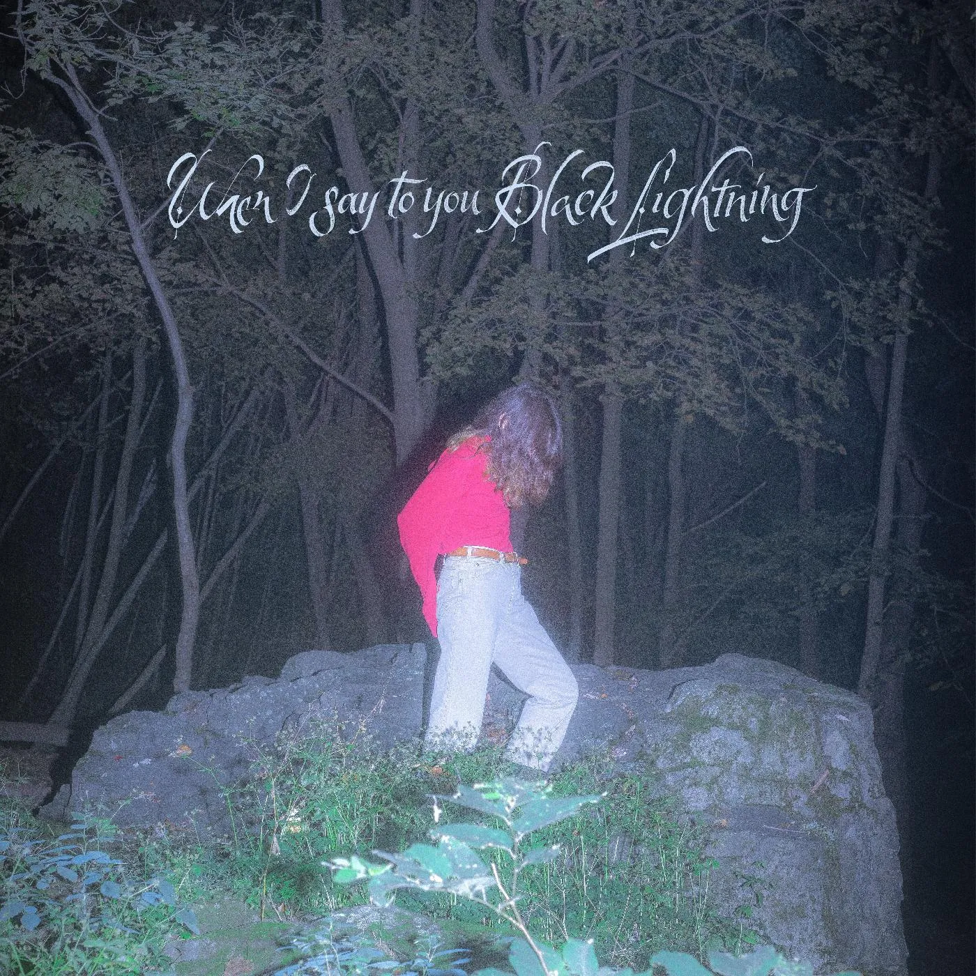 Common Holly WHEN I SAY TO YOU BLACK LIGHTNING (DL CODE) Vinyl Record