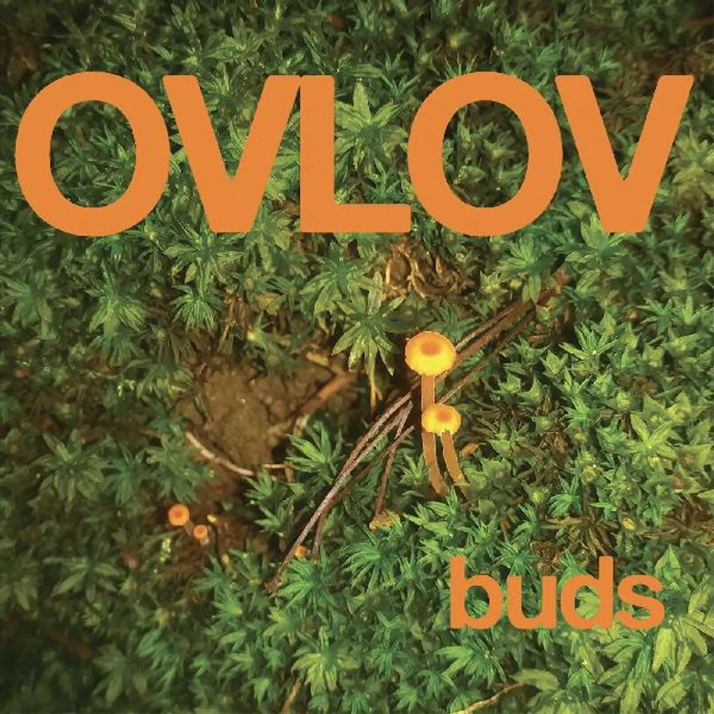Ovlov BUDS Vinyl Record