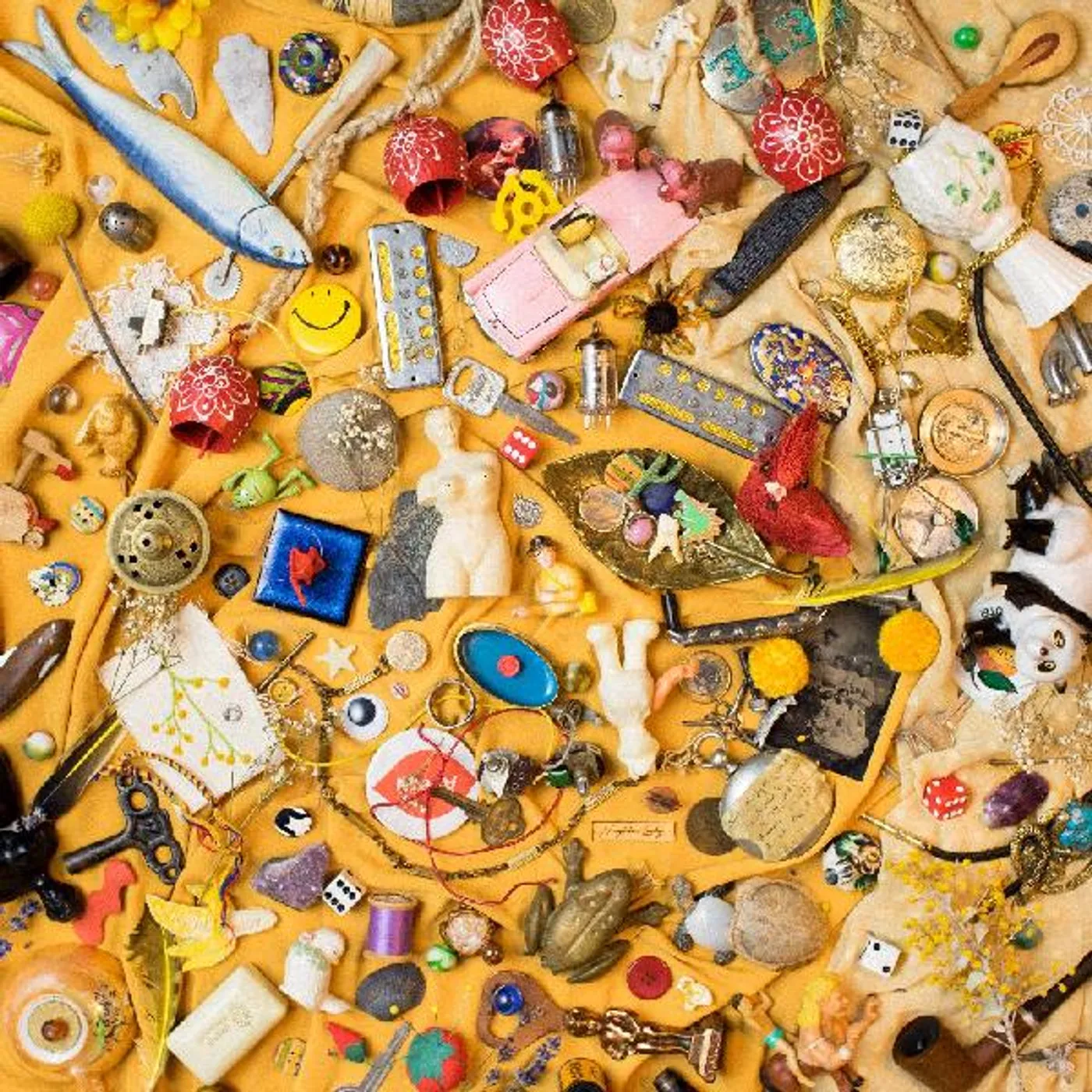 Neighbor Lady For The Birds Vinyl Record