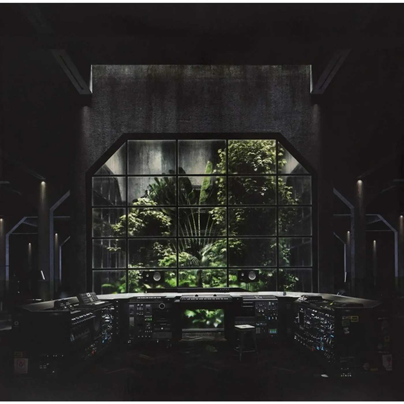 Bok Bok Your Charizmatic Self Vinyl Record