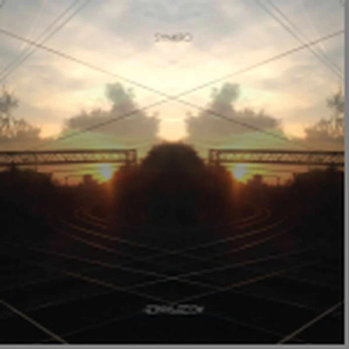 Synkro Acceptance (2 Lp) Vinyl Record