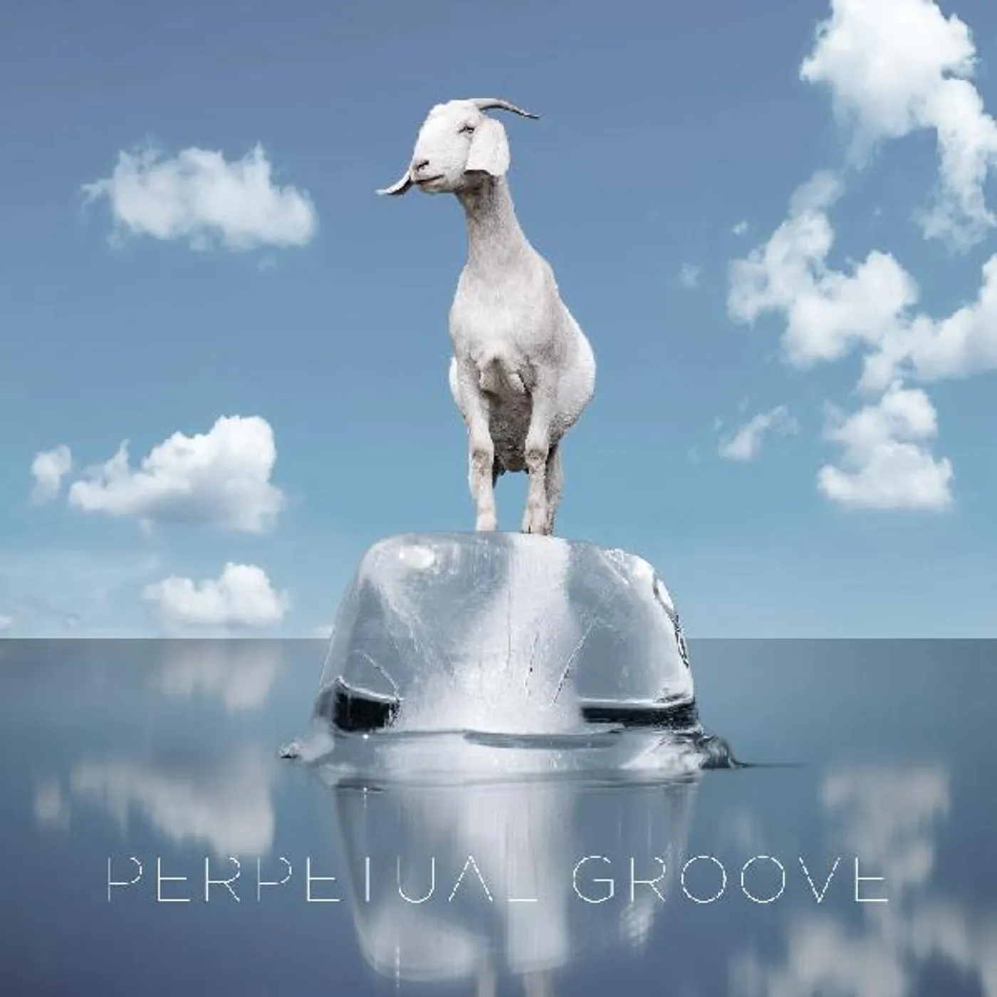 Perpetual Groove Vinyl Record