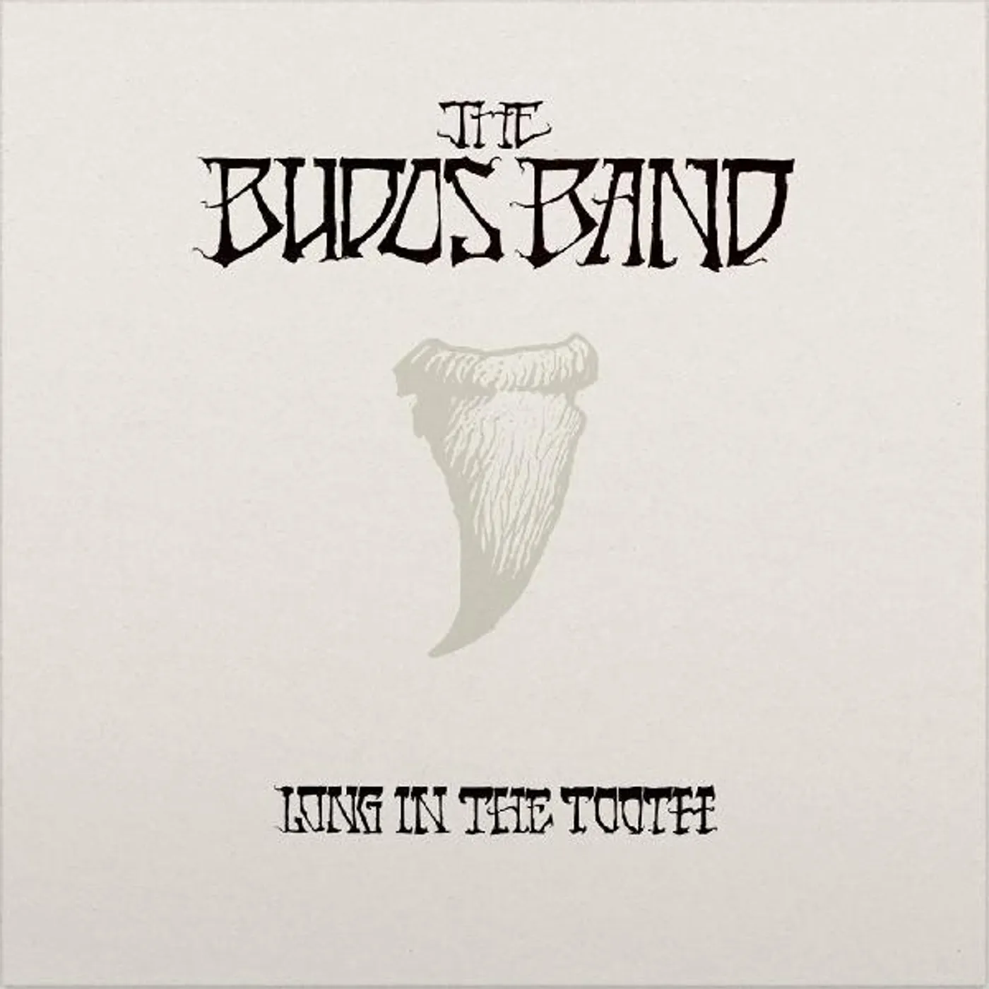 The Budos Band Long in the Tooth Vinyl Record