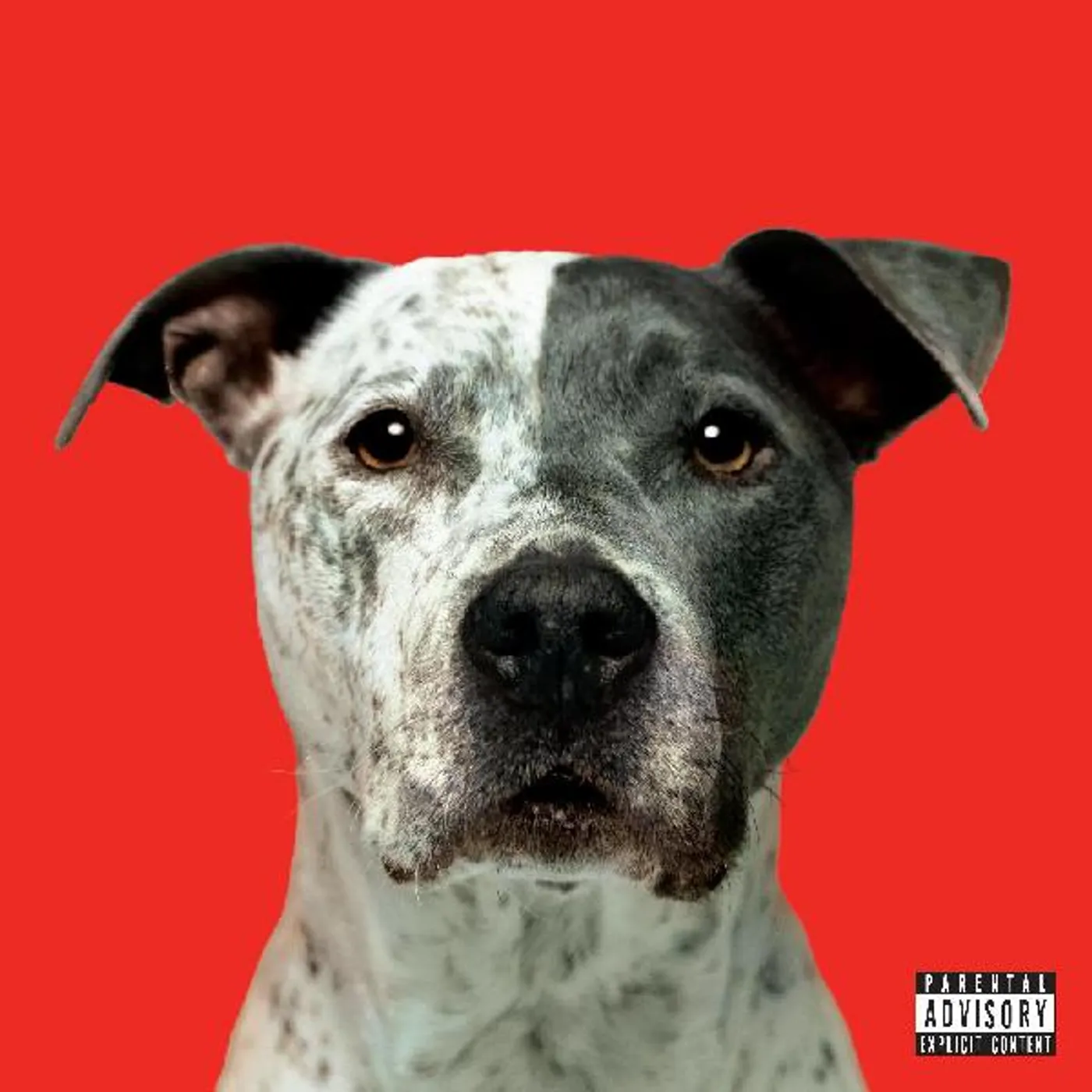 Hanni El Khatib FLIGHT (DL CARD) Vinyl Record